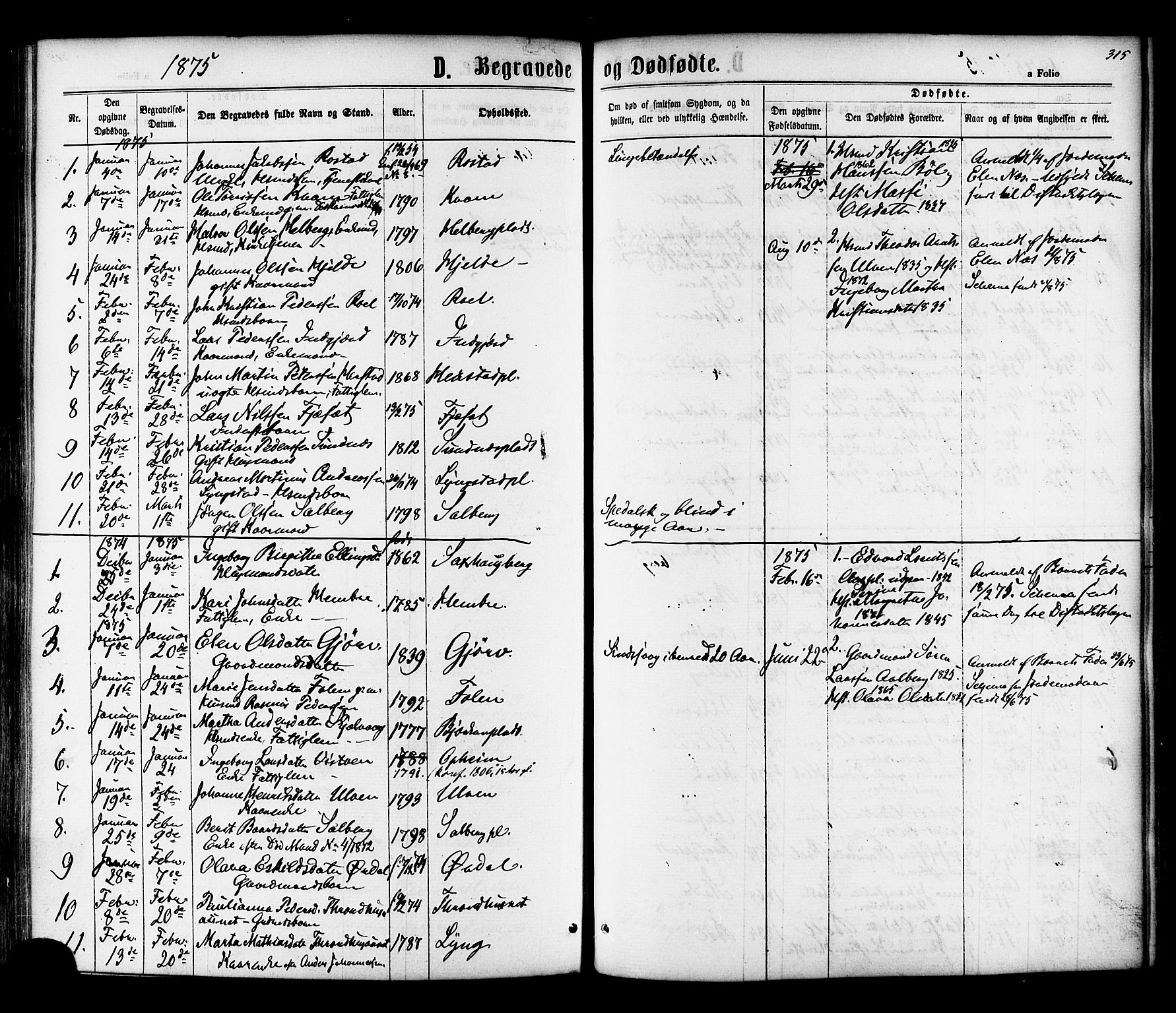 Ministerialprotokoller, klokkerbøker og fødselsregistre - Nord-Trøndelag, SAT/A-1458/730/L0284: Parish register (official) no. 730A09, 1866-1878, p. 315