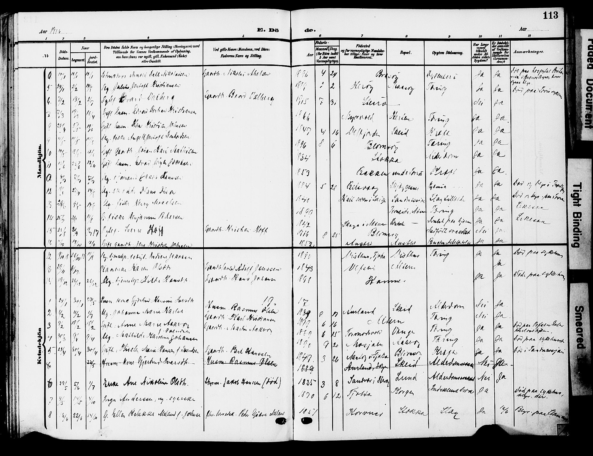 Ministerialprotokoller, klokkerbøker og fødselsregistre - Nordland, AV/SAT-A-1459/830/L0464: Parish register (copy) no. 830C06, 1906-1925, p. 113