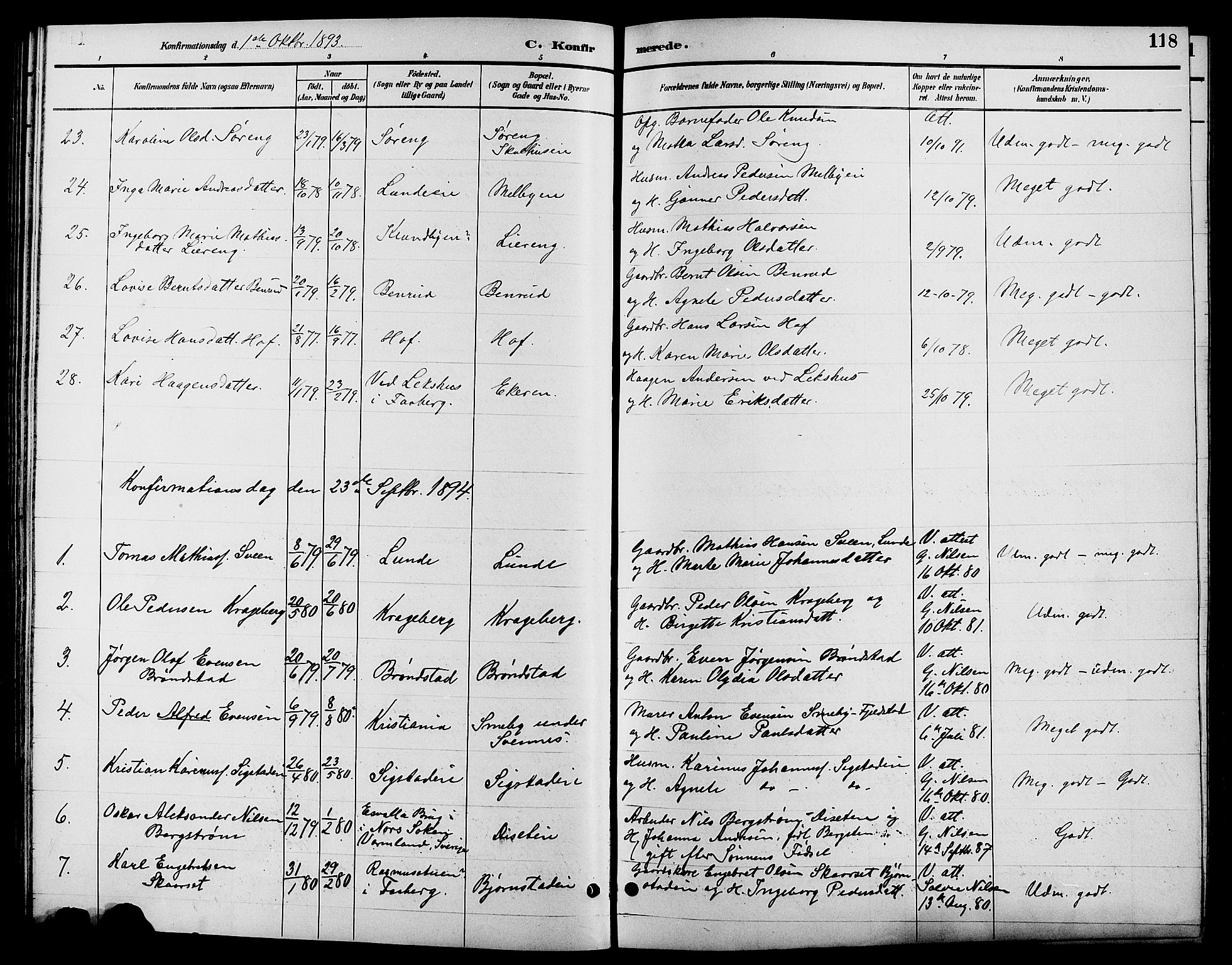 Biri prestekontor, SAH/PREST-096/H/Ha/Hab/L0004: Parish register (copy) no. 4, 1892-1909, p. 118
