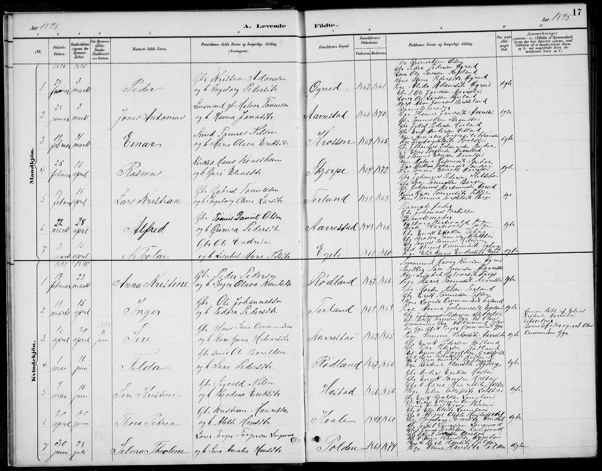 Helleland sokneprestkontor, SAST/A-101810: Parish register (copy) no. B 4, 1887-1941, p. 17
