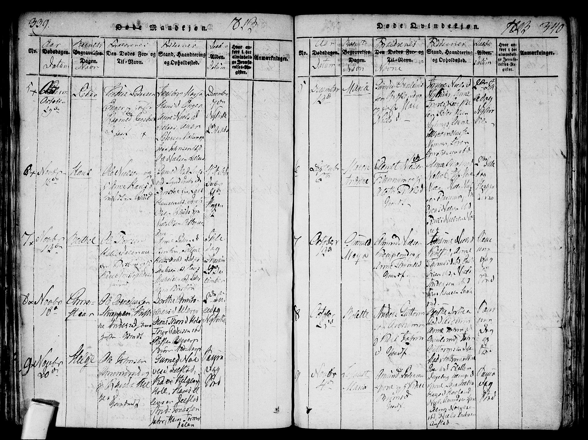 Modum kirkebøker, AV/SAKO-A-234/F/Fa/L0004: Parish register (official) no. 4, 1818-1824, p. 339-340