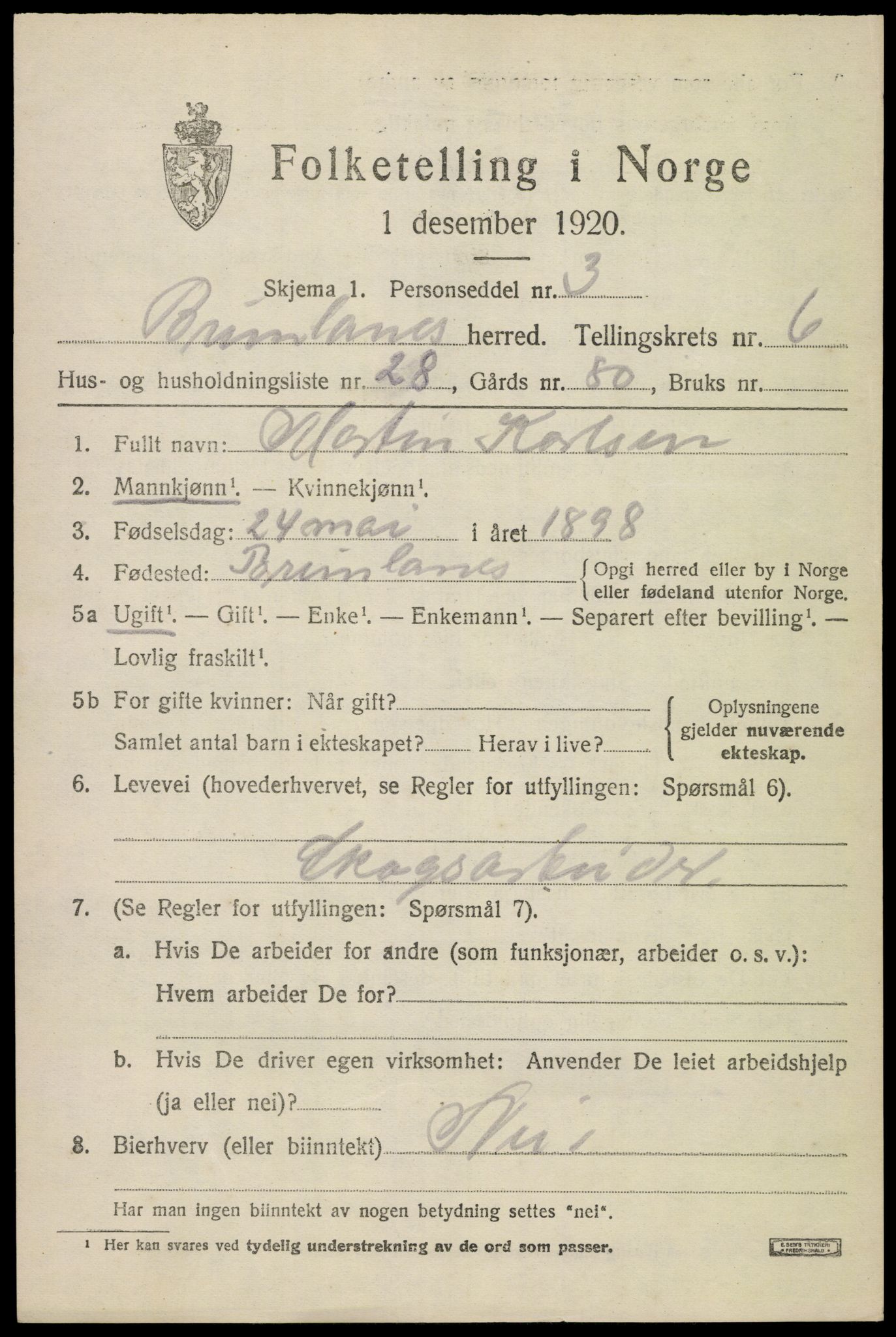 SAKO, 1920 census for Brunlanes, 1920, p. 7051