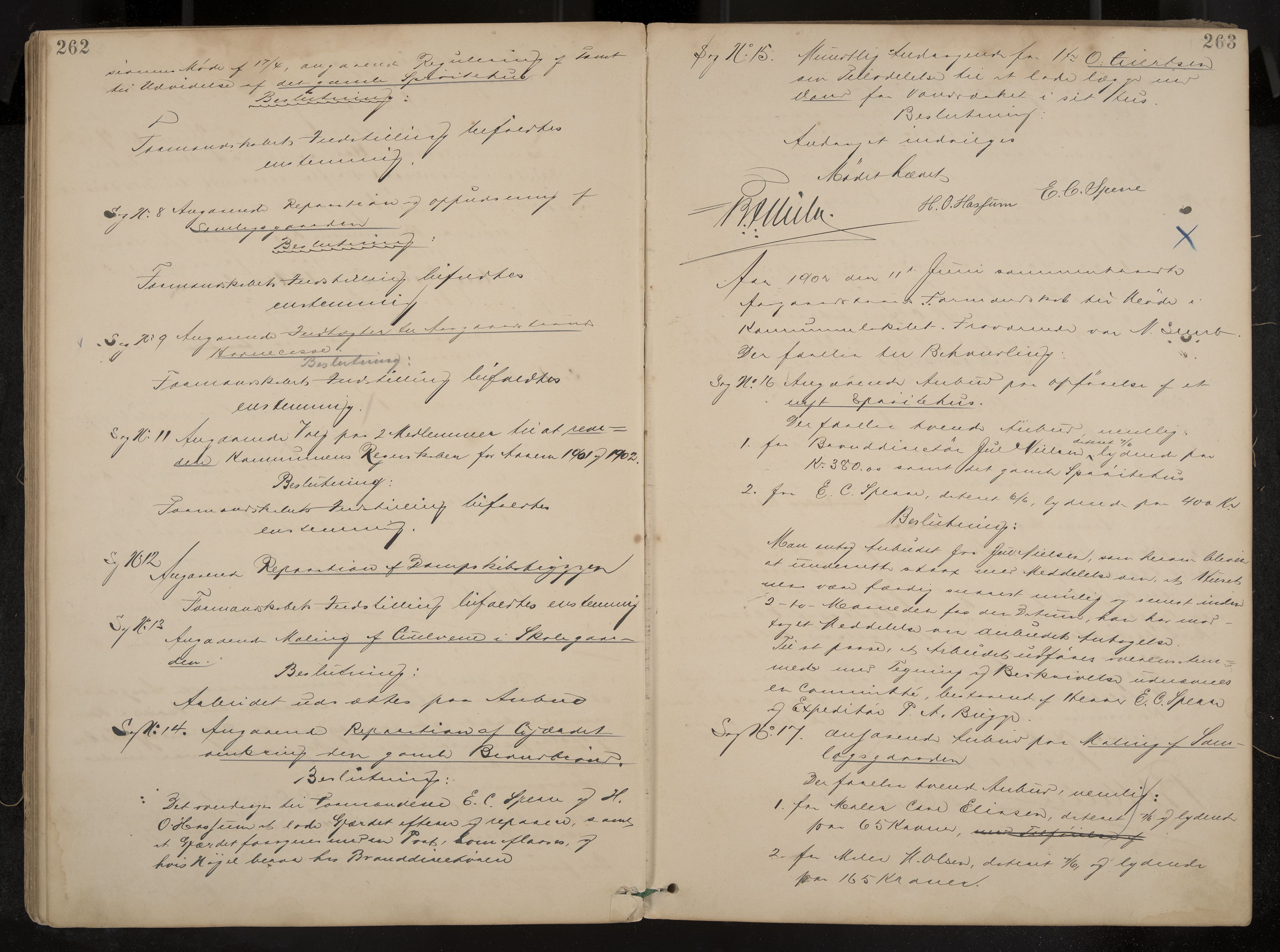 Åsgårdstrand formannskap og sentraladministrasjon, IKAK/0704021/A/L0003: Møtebok med register, 1890-1908, p. 262-263