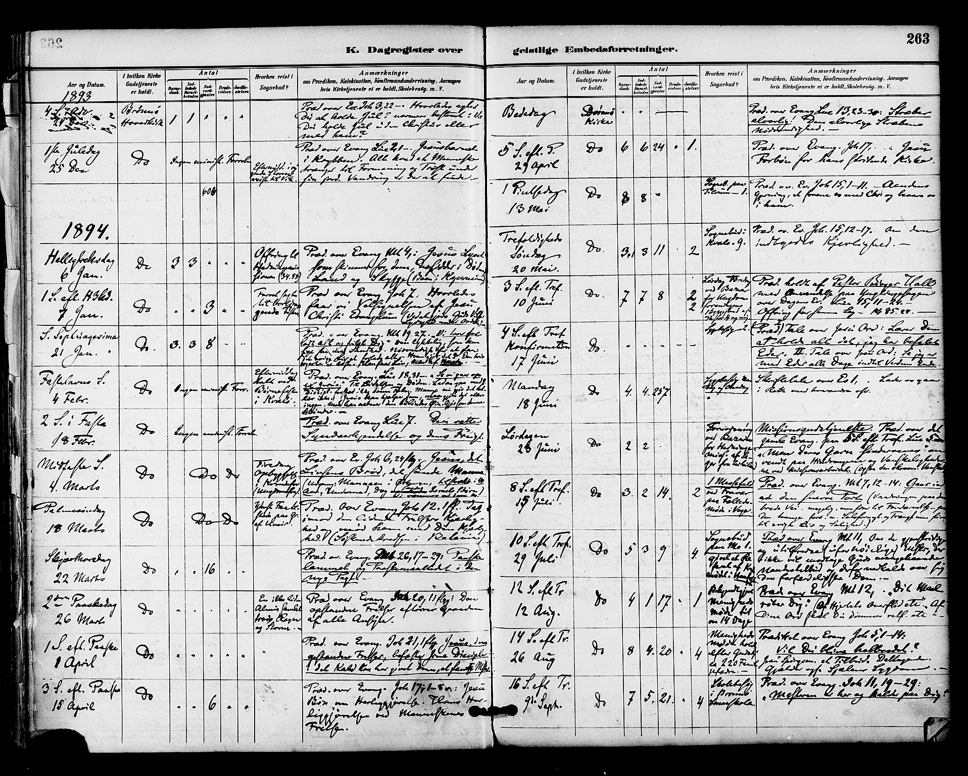 Ministerialprotokoller, klokkerbøker og fødselsregistre - Nordland, SAT/A-1459/813/L0200: Parish register (official) no. 813A10, 1886-1900, p. 263