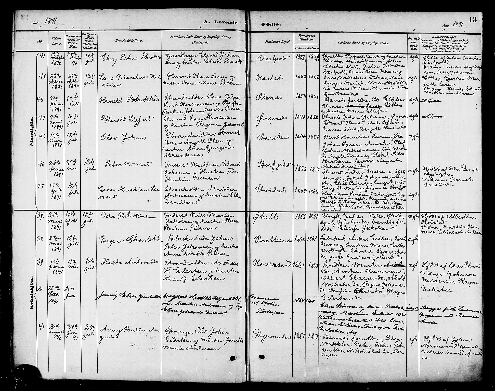 Ministerialprotokoller, klokkerbøker og fødselsregistre - Nordland, SAT/A-1459/874/L1060: Parish register (official) no. 874A04, 1890-1899, p. 13