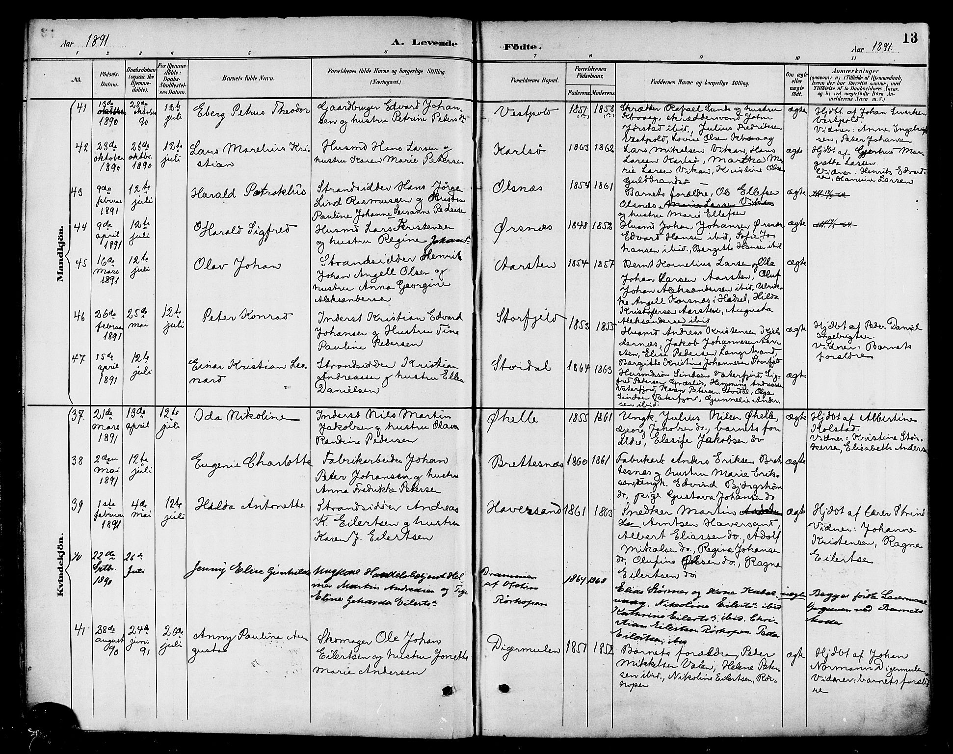 Ministerialprotokoller, klokkerbøker og fødselsregistre - Nordland, AV/SAT-A-1459/874/L1060: Parish register (official) no. 874A04, 1890-1899, p. 13