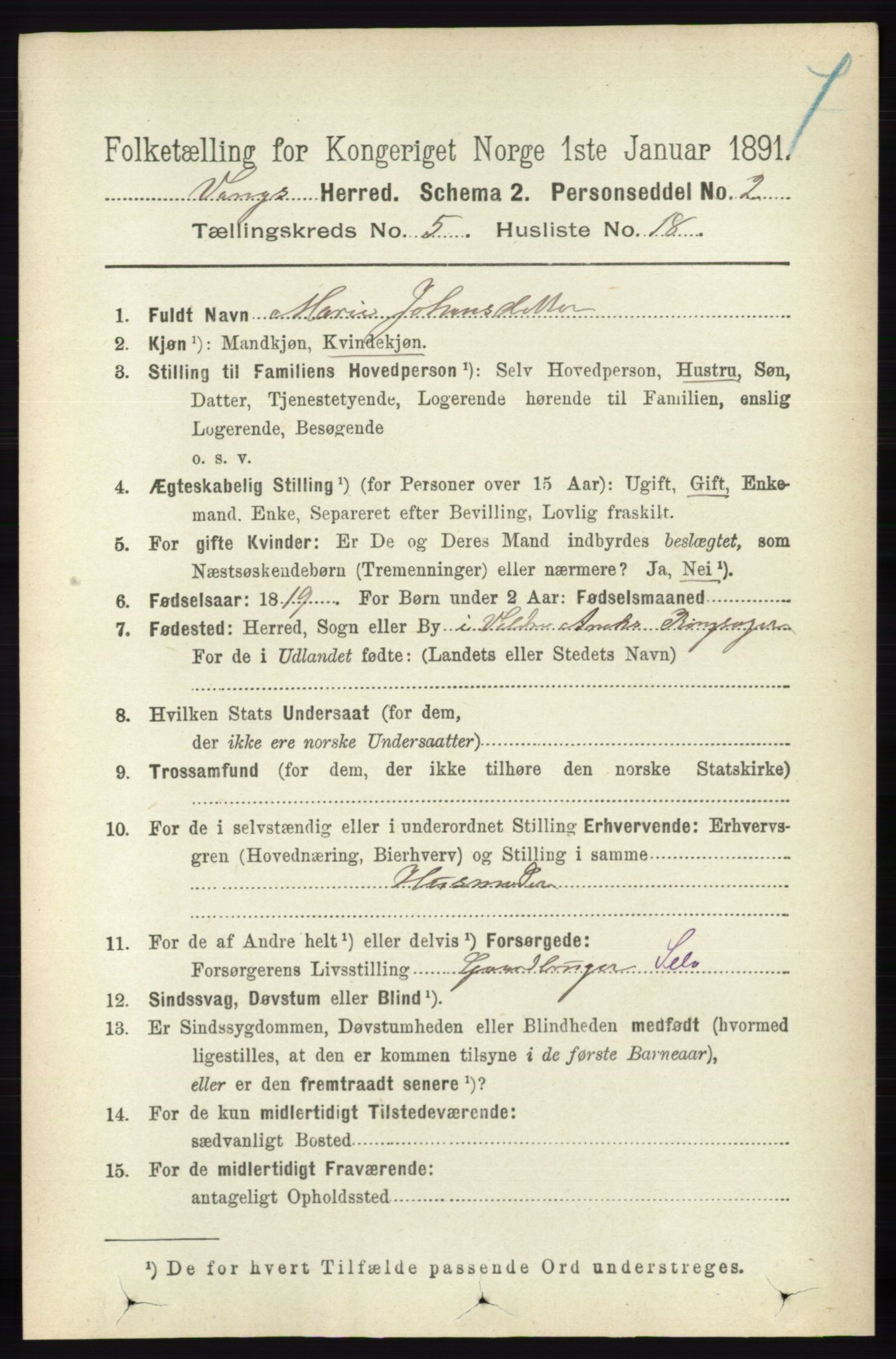 RA, 1891 census for 0414 Vang, 1891, p. 3594