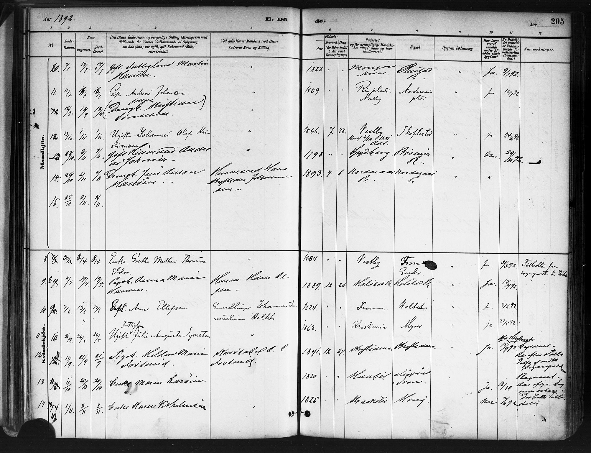 Ås prestekontor Kirkebøker, SAO/A-10894/F/Fa/L0009: Parish register (official) no. I 9, 1881-1900, p. 205