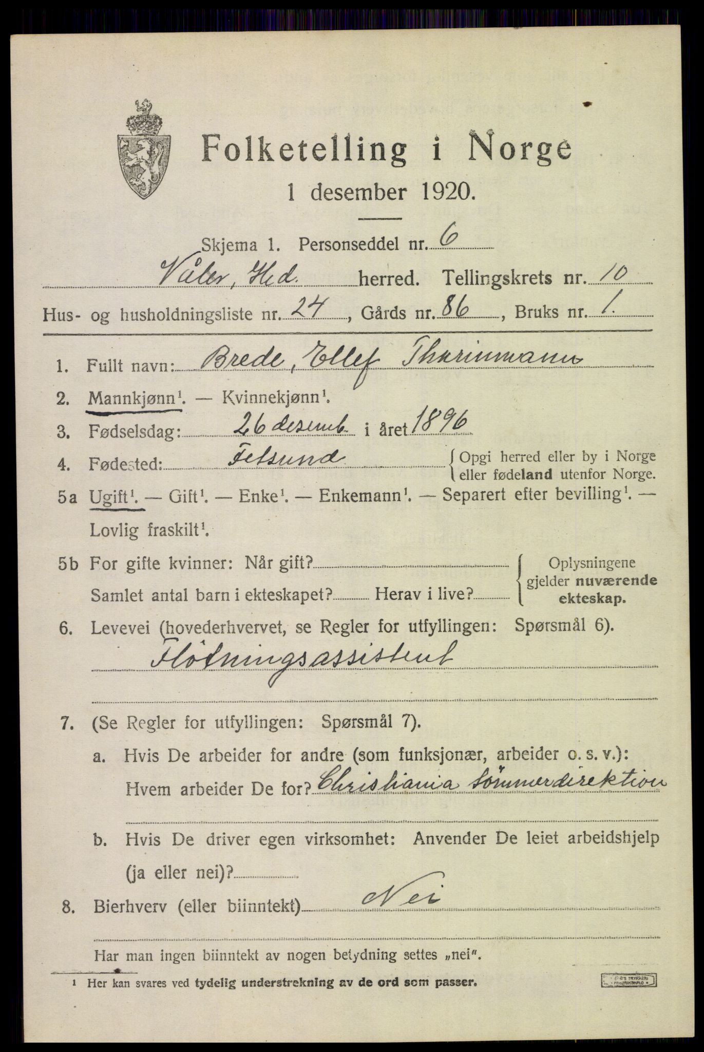 SAH, 1920 census for Våler (Hedmark), 1920, p. 10176