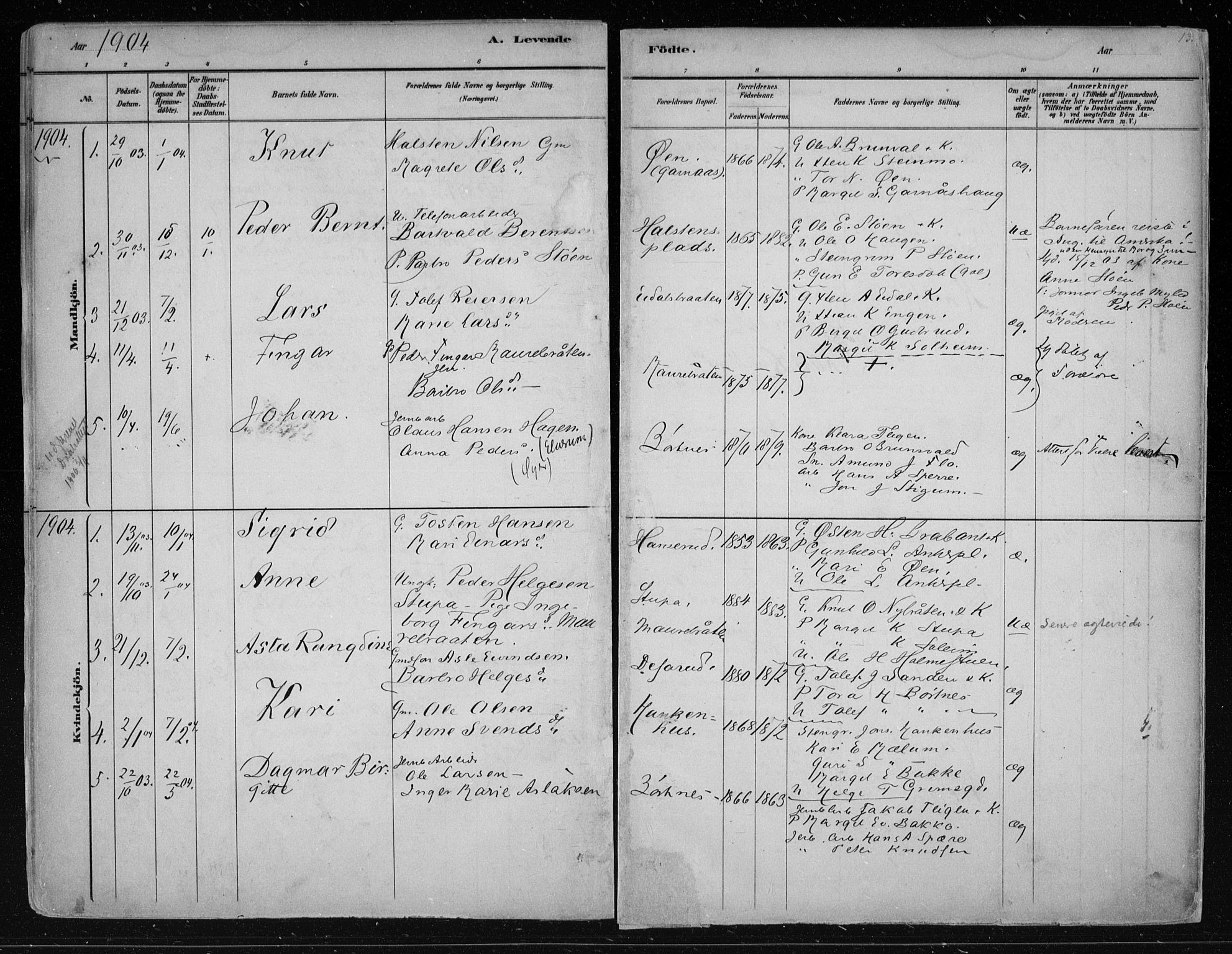 Nes kirkebøker, SAKO/A-236/F/Fa/L0011: Parish register (official) no. 11, 1881-1912, p. 131