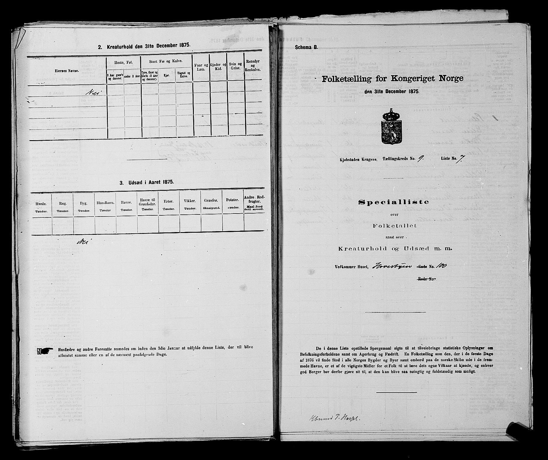 SAKO, 1875 census for 0801P Kragerø, 1875, p. 204