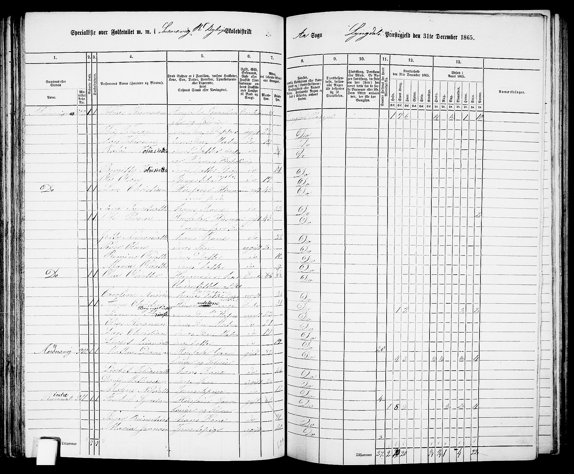 RA, 1865 census for Lyngdal, 1865, p. 106