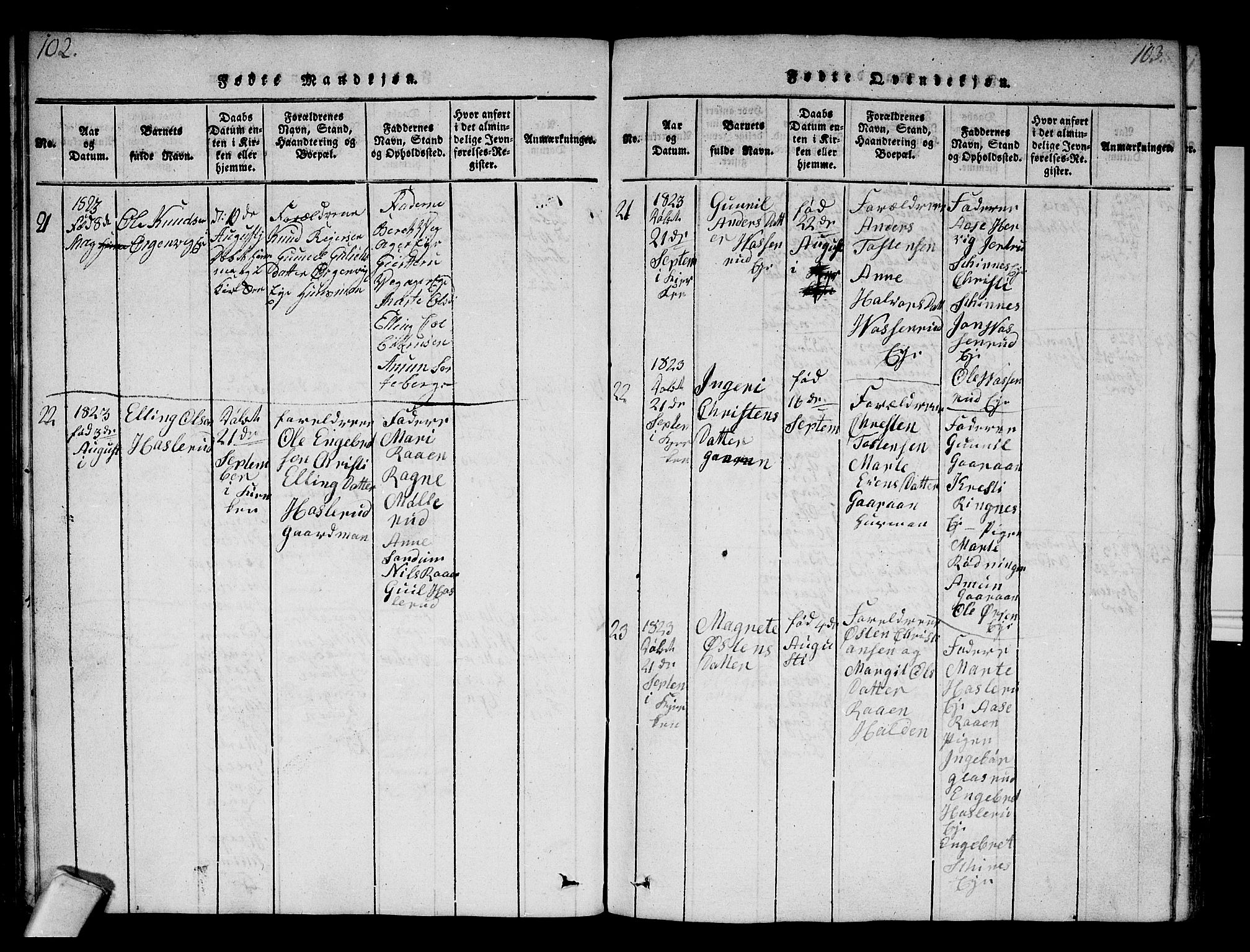 Krødsherad kirkebøker, AV/SAKO-A-19/F/Fa/L0001: Parish register (official) no. 1, 1815-1829, p. 102-103