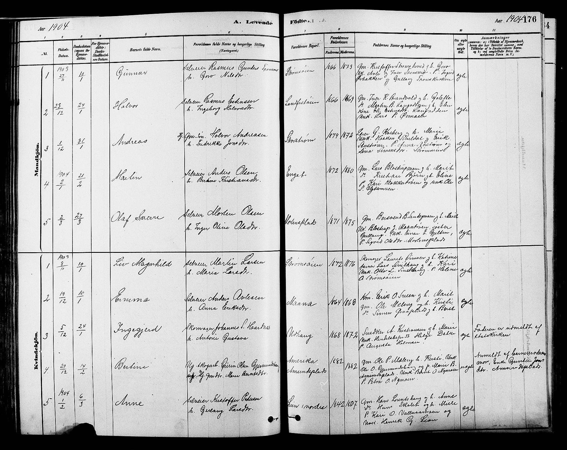 Alvdal prestekontor, SAH/PREST-060/H/Ha/Hab/L0003: Parish register (copy) no. 3, 1878-1907, p. 176