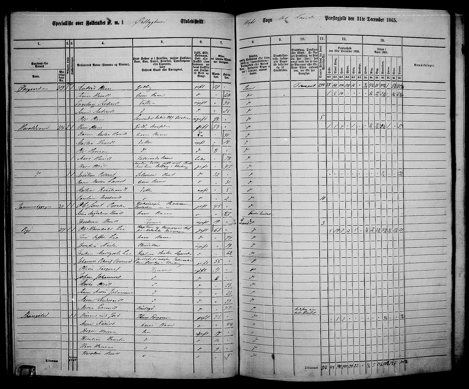 RA, 1865 census for Land, 1865, p. 339