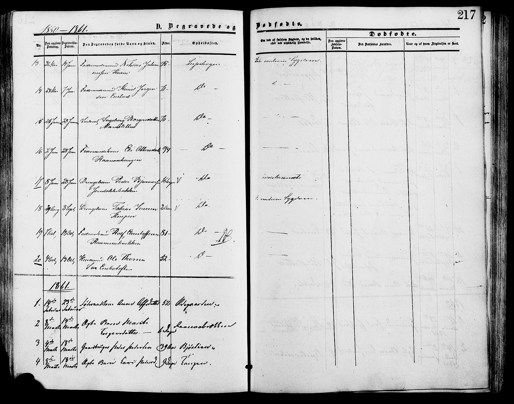 Lesja prestekontor, SAH/PREST-068/H/Ha/Haa/L0009: Parish register (official) no. 9, 1854-1889, p. 217
