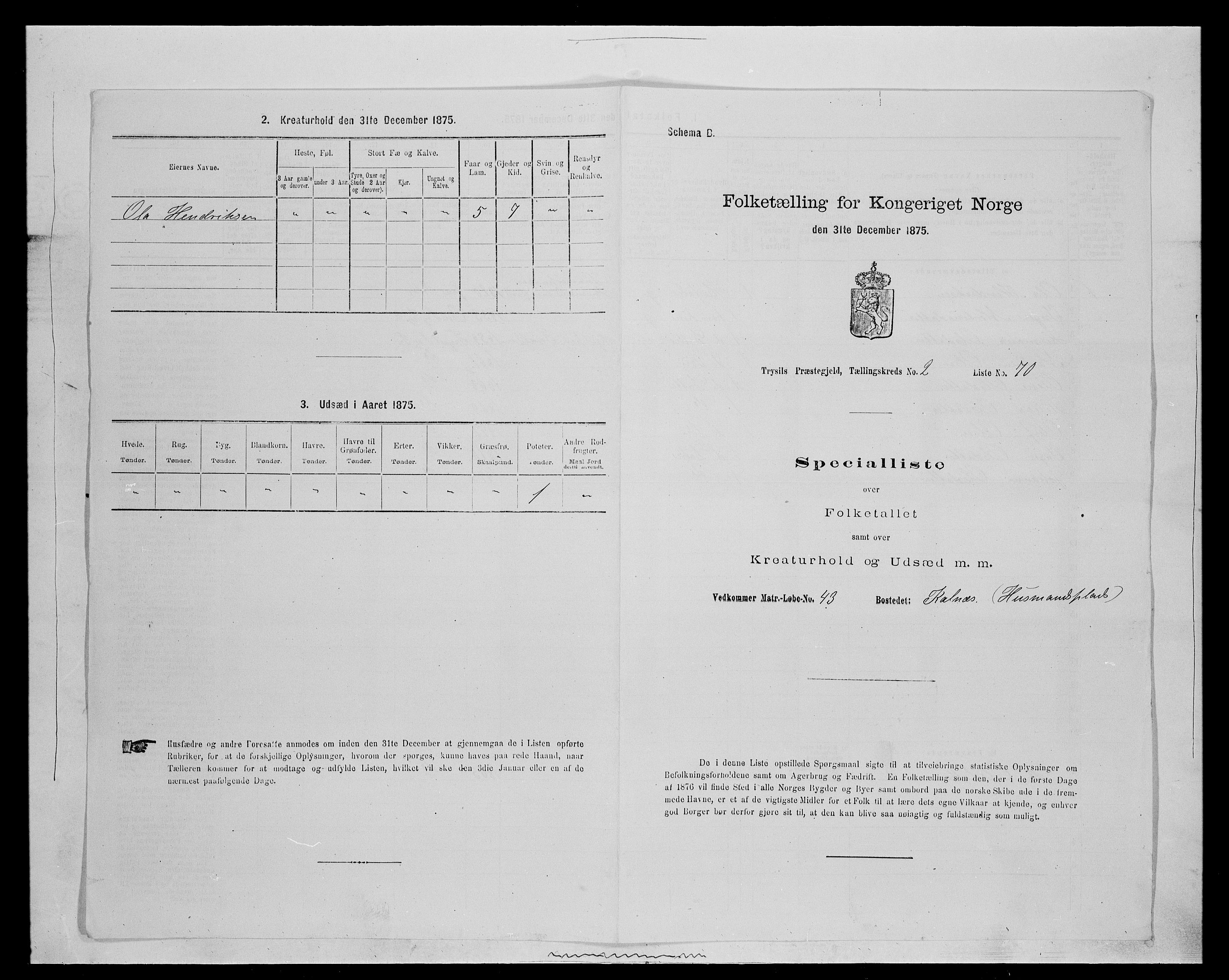 SAH, 1875 census for 0428P Trysil, 1875, p. 399