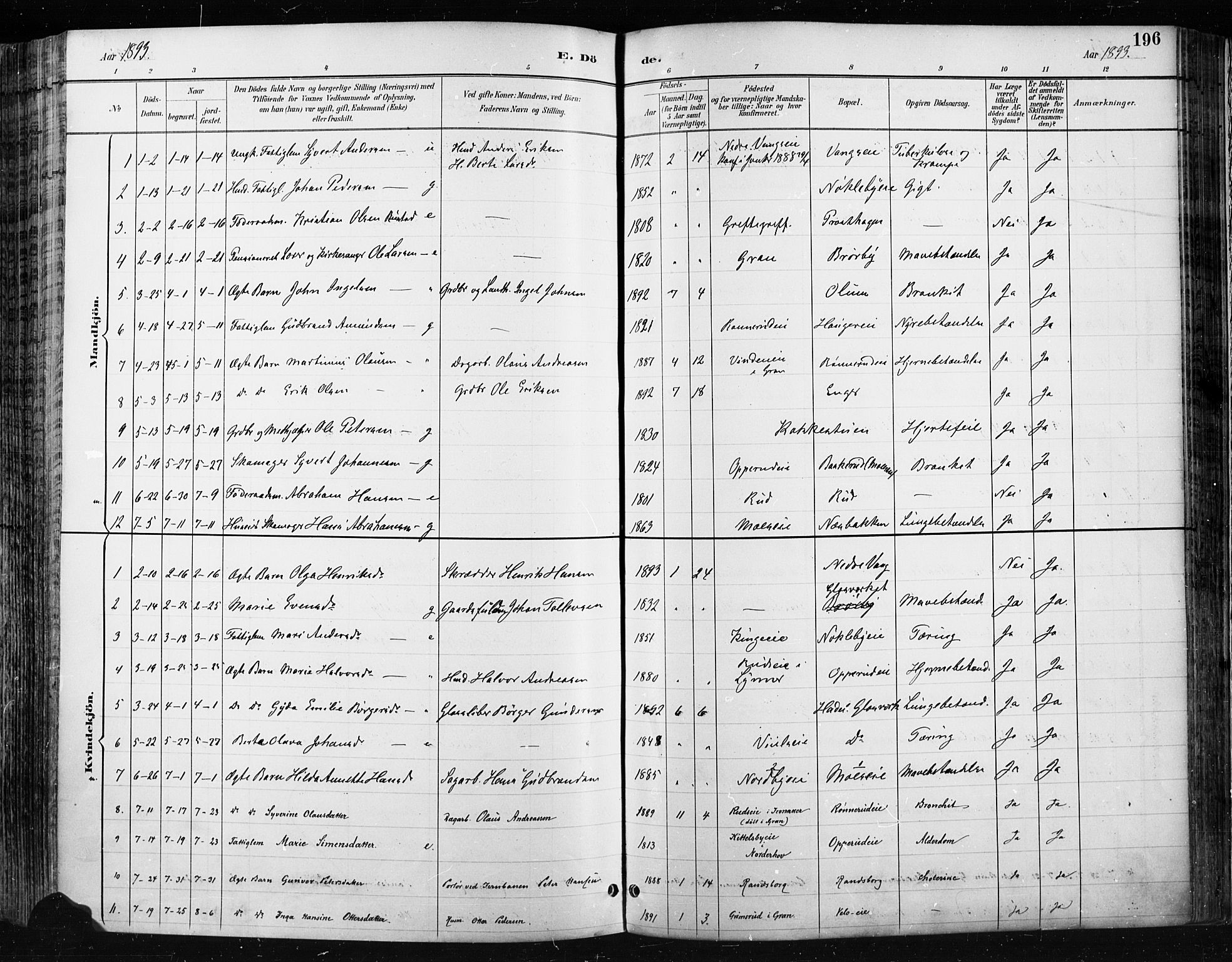 Jevnaker prestekontor, SAH/PREST-116/H/Ha/Haa/L0009: Parish register (official) no. 9, 1891-1901, p. 196