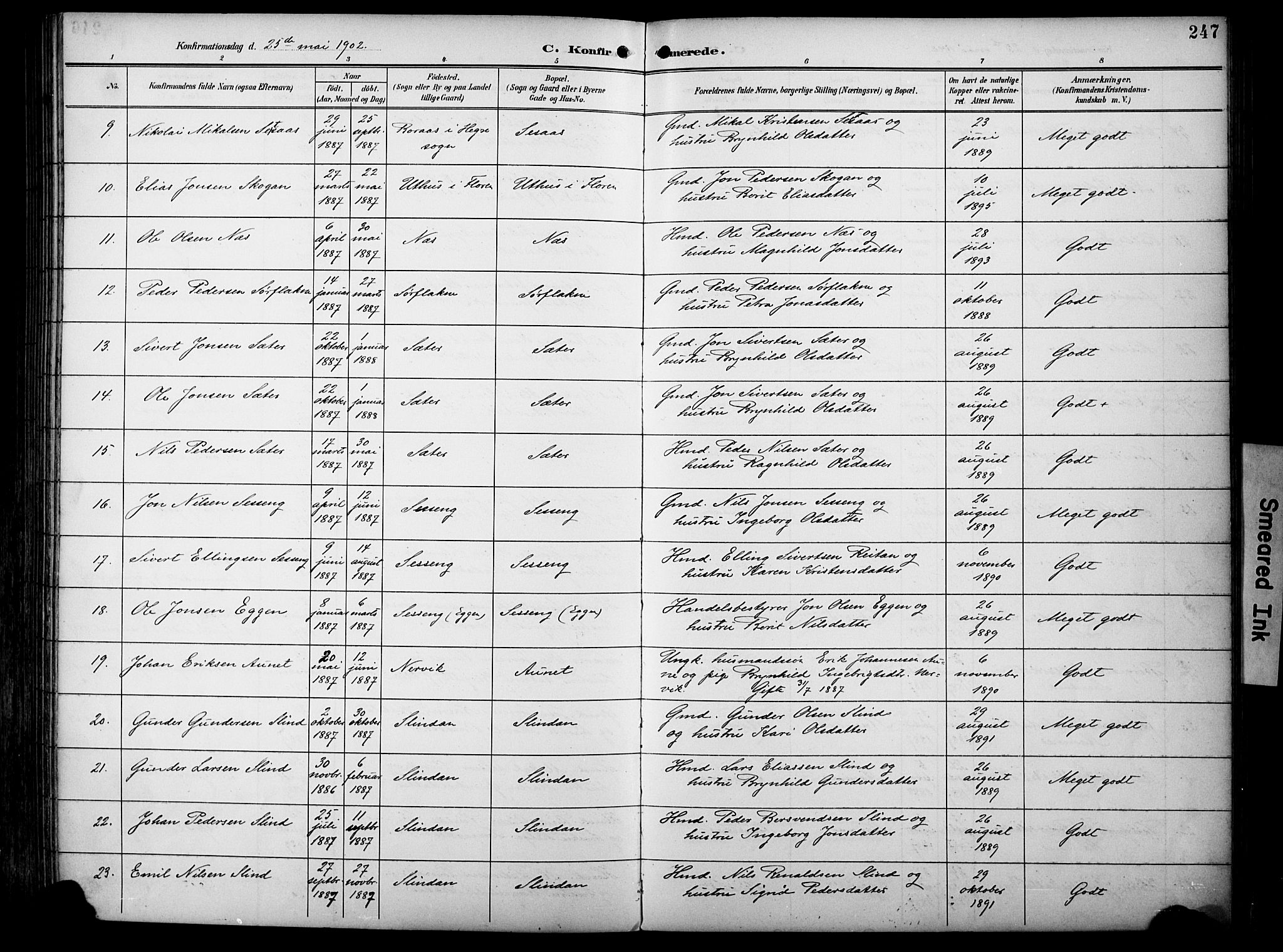 Ministerialprotokoller, klokkerbøker og fødselsregistre - Sør-Trøndelag, AV/SAT-A-1456/695/L1149: Parish register (official) no. 695A09, 1891-1902, p. 247