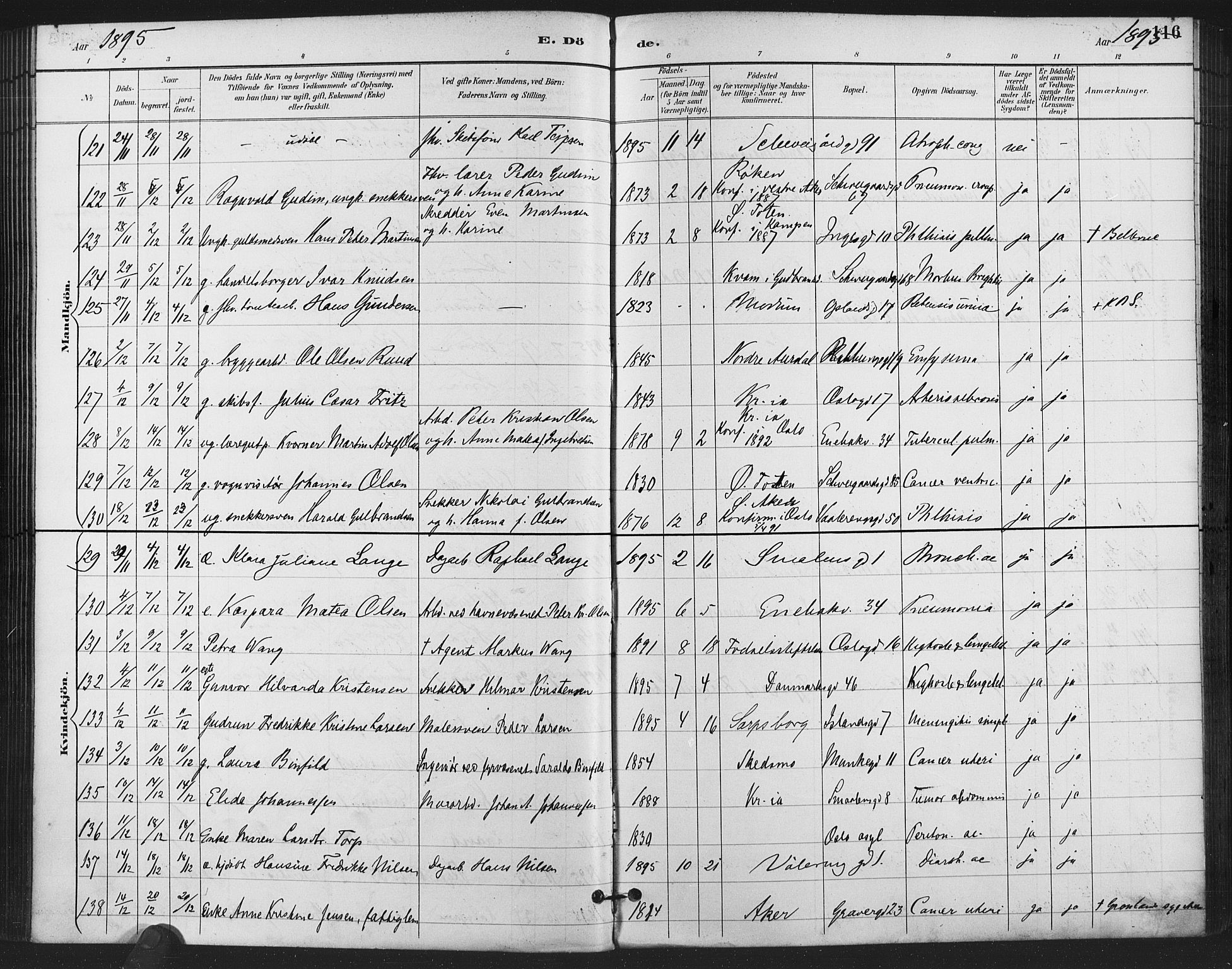 Gamlebyen prestekontor Kirkebøker, AV/SAO-A-10884/F/Fa/L0009: Parish register (official) no. 9, 1888-1909, p. 116