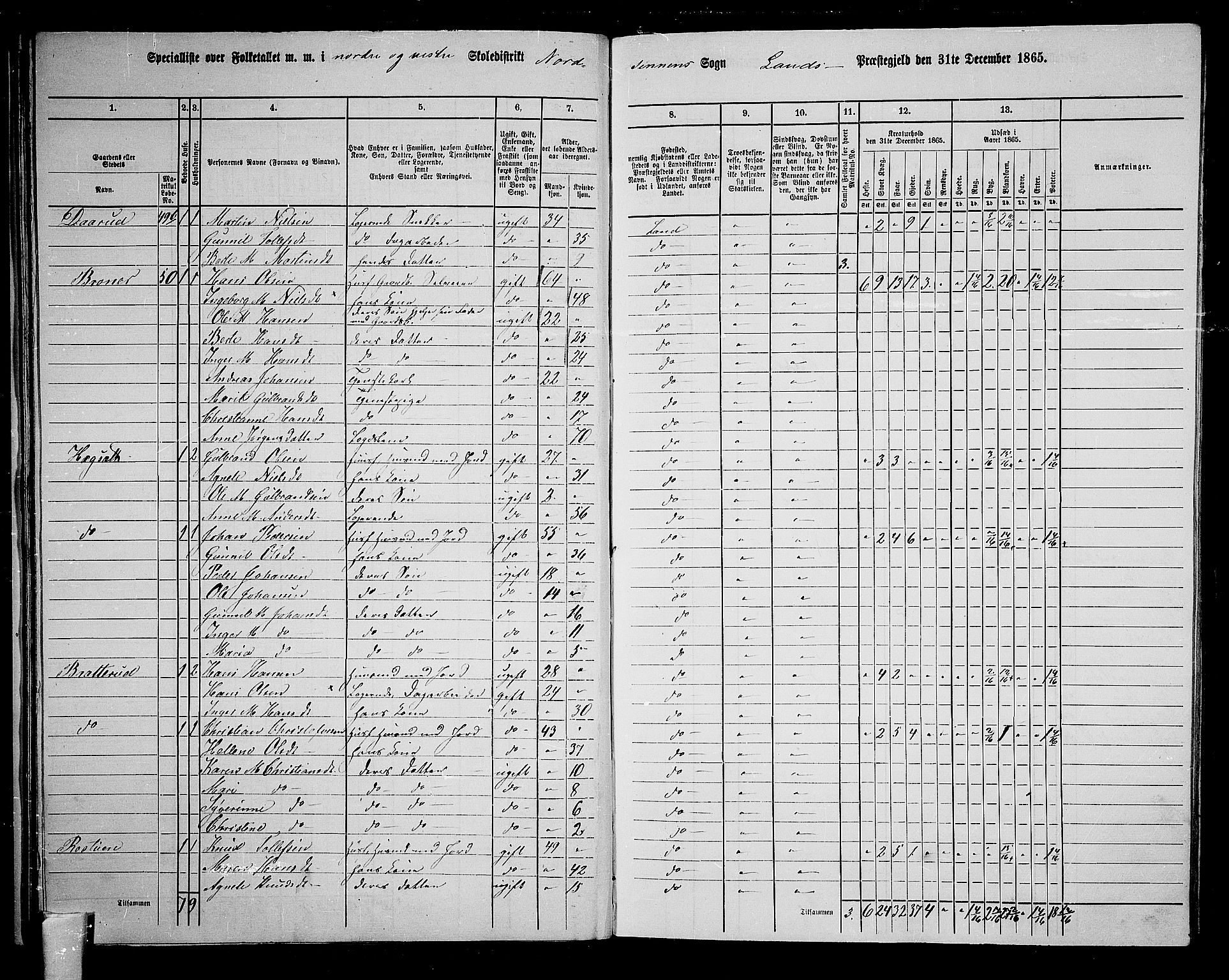 RA, 1865 census for Land, 1865, p. 43