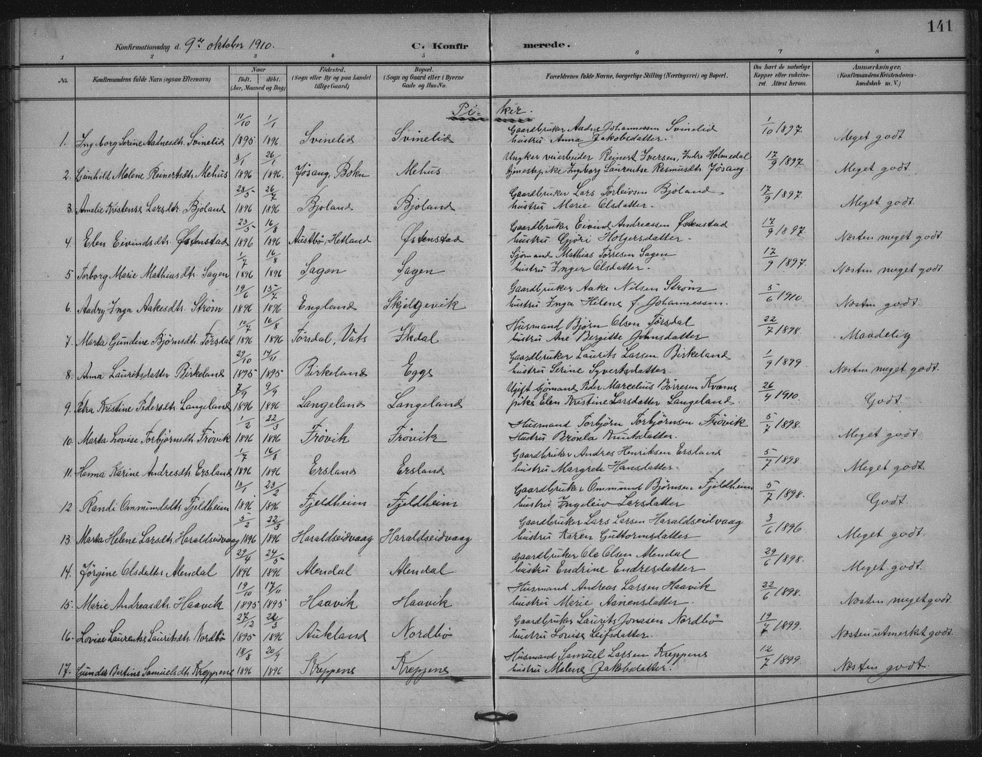 Skjold sokneprestkontor, AV/SAST-A-101847/H/Ha/Haa/L0011: Parish register (official) no. A 11, 1897-1914, p. 141