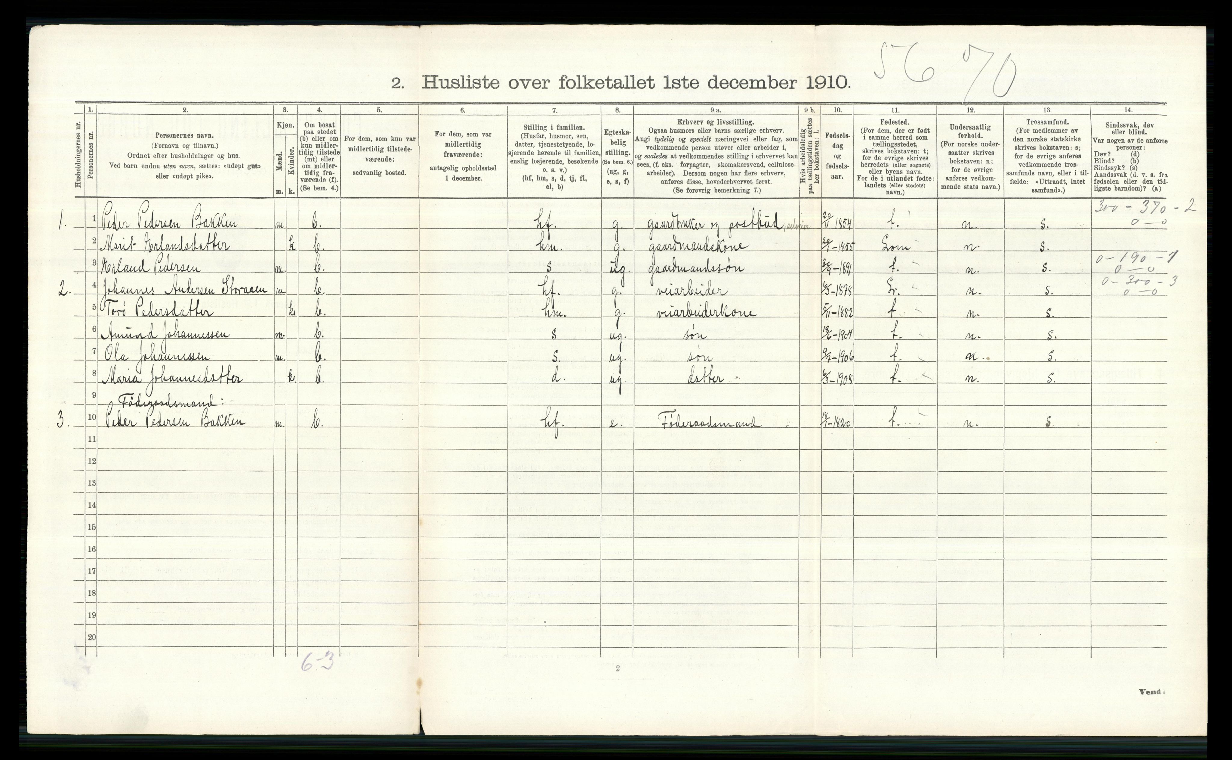 RA, 1910 census for Skjåk, 1910, p. 209