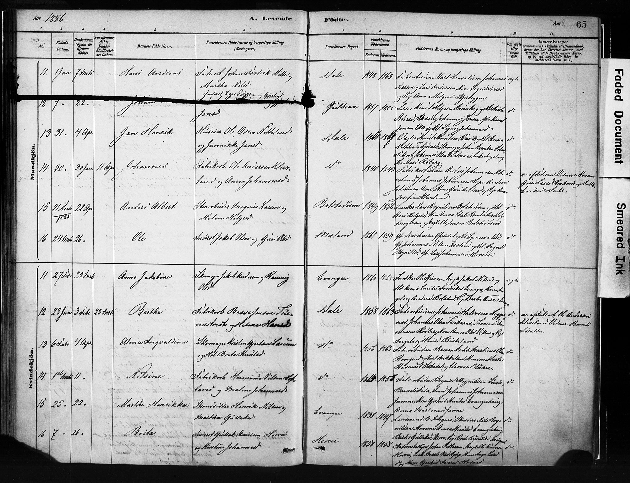 Evanger sokneprestembete, AV/SAB-A-99924: Parish register (official) no. A 1, 1877-1899, p. 65