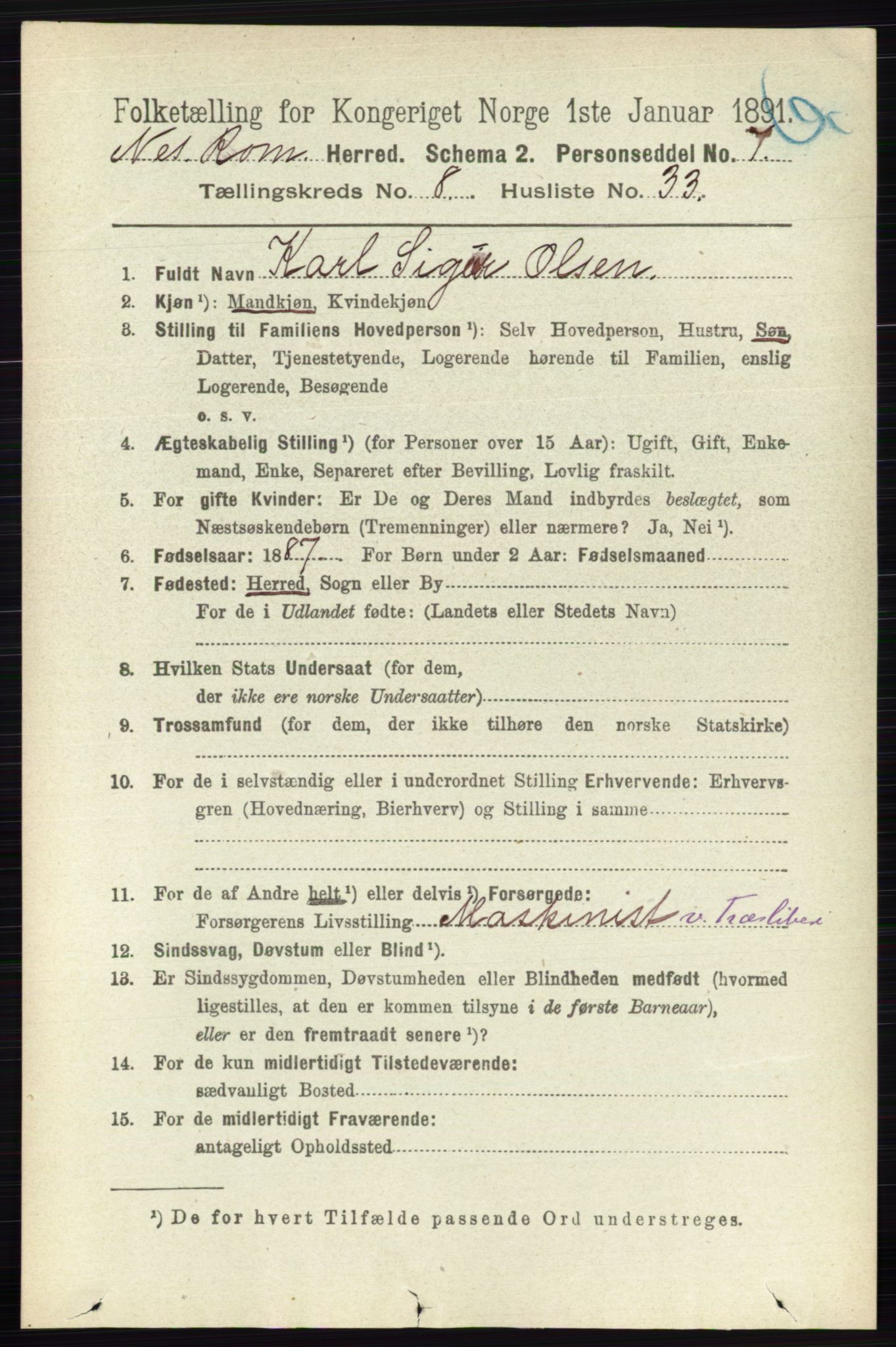 RA, 1891 census for 0236 Nes, 1891, p. 4809