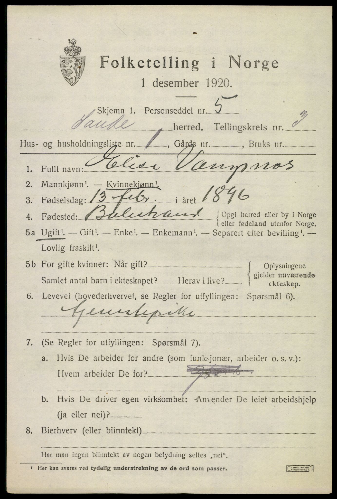 SAKO, 1920 census for Sande, 1920, p. 4058