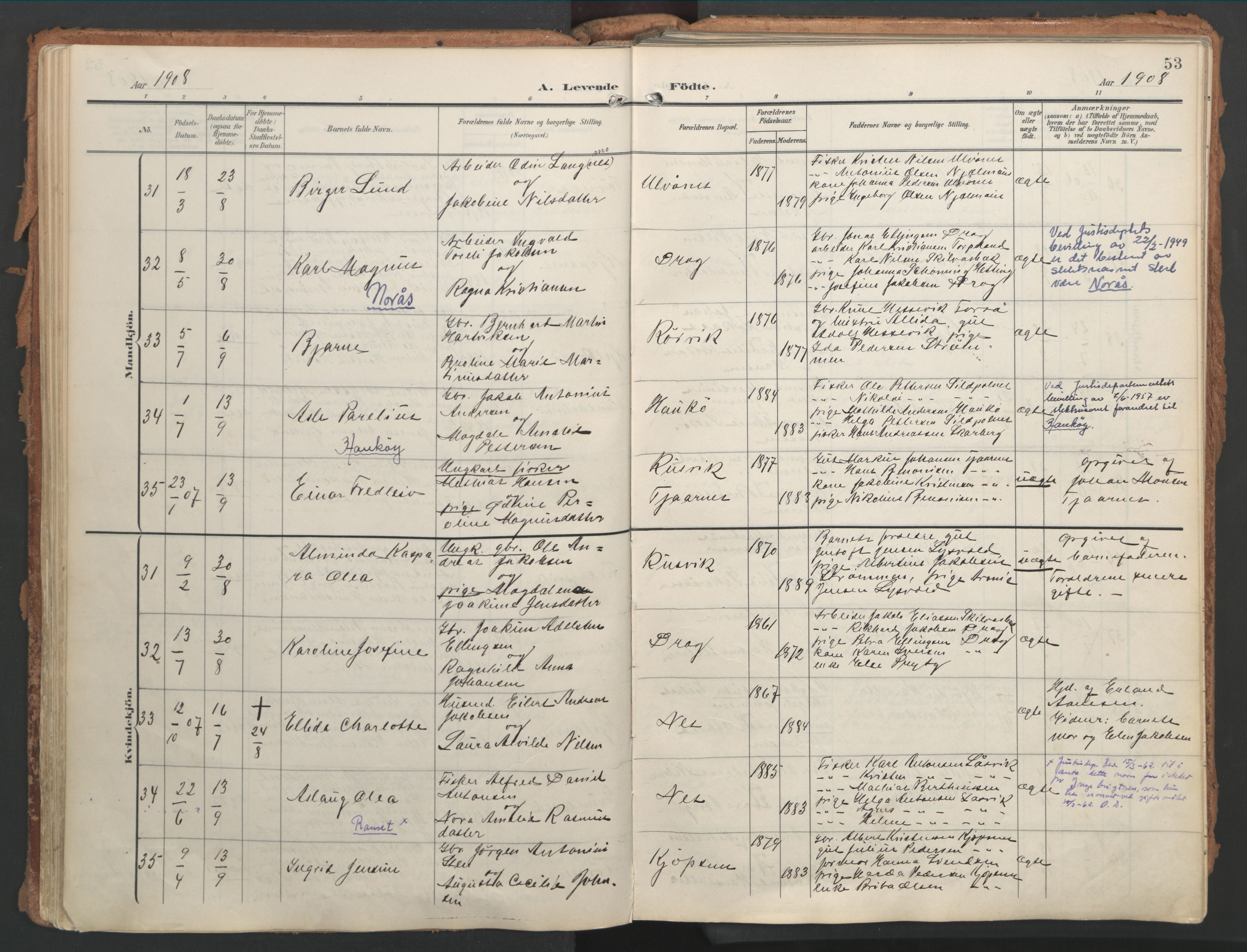 Ministerialprotokoller, klokkerbøker og fødselsregistre - Nordland, AV/SAT-A-1459/861/L0871: Parish register (official) no. 861A06, 1903-1916, p. 53