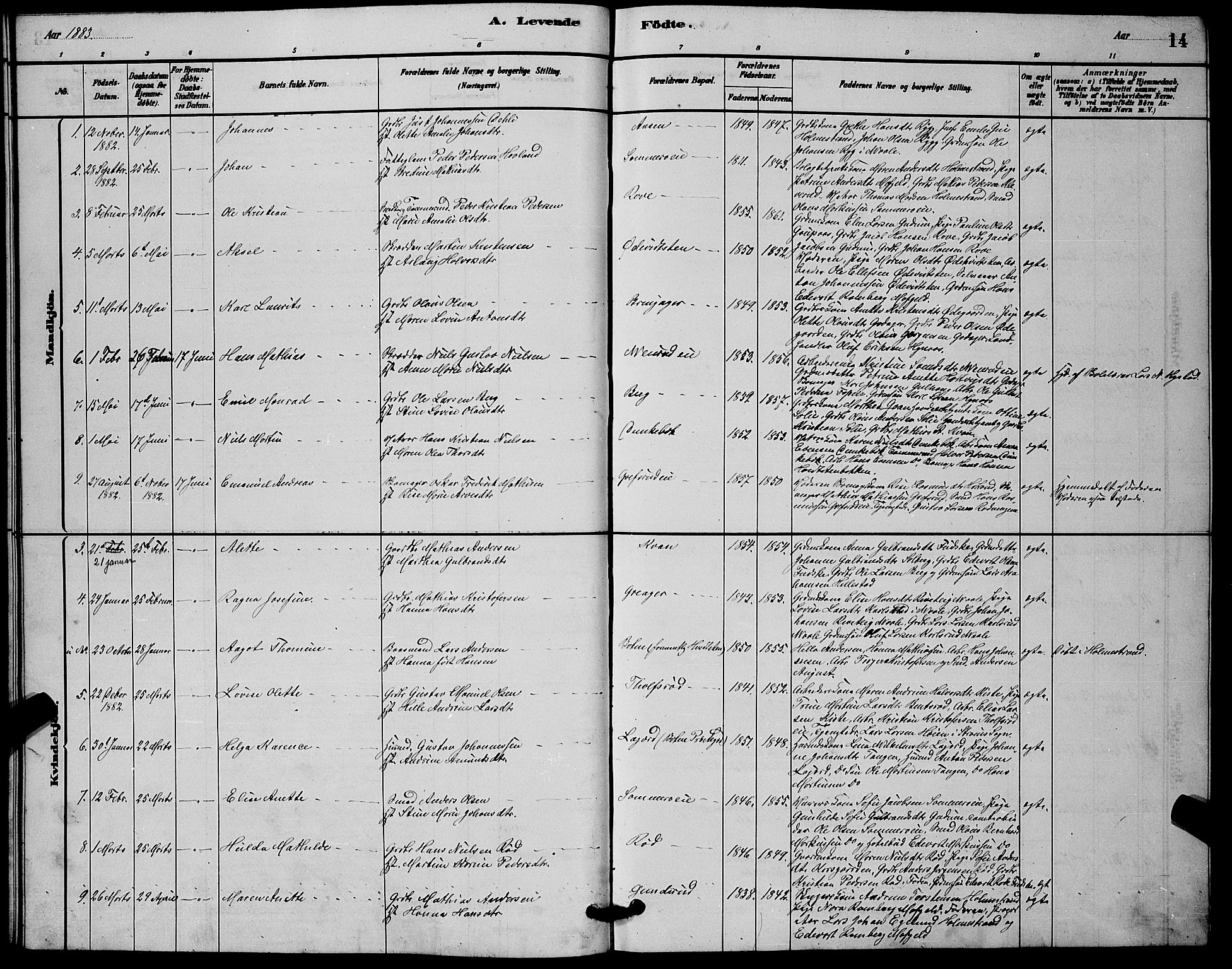 Botne kirkebøker, SAKO/A-340/G/Ga/L0003: Parish register (copy) no. I 3, 1878-1898, p. 14