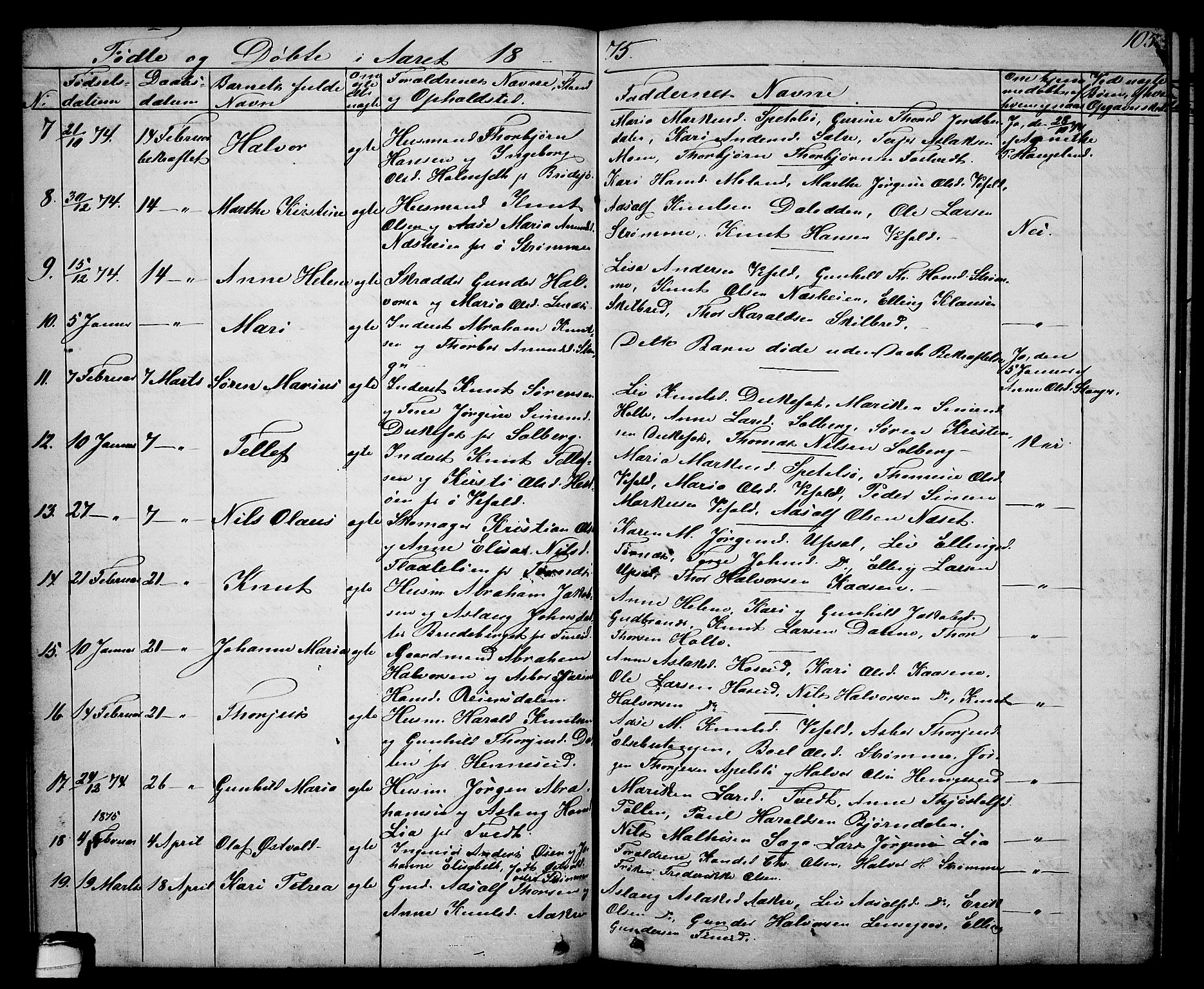 Drangedal kirkebøker, AV/SAKO-A-258/G/Ga/L0002: Parish register (copy) no. I 2, 1856-1887, p. 105