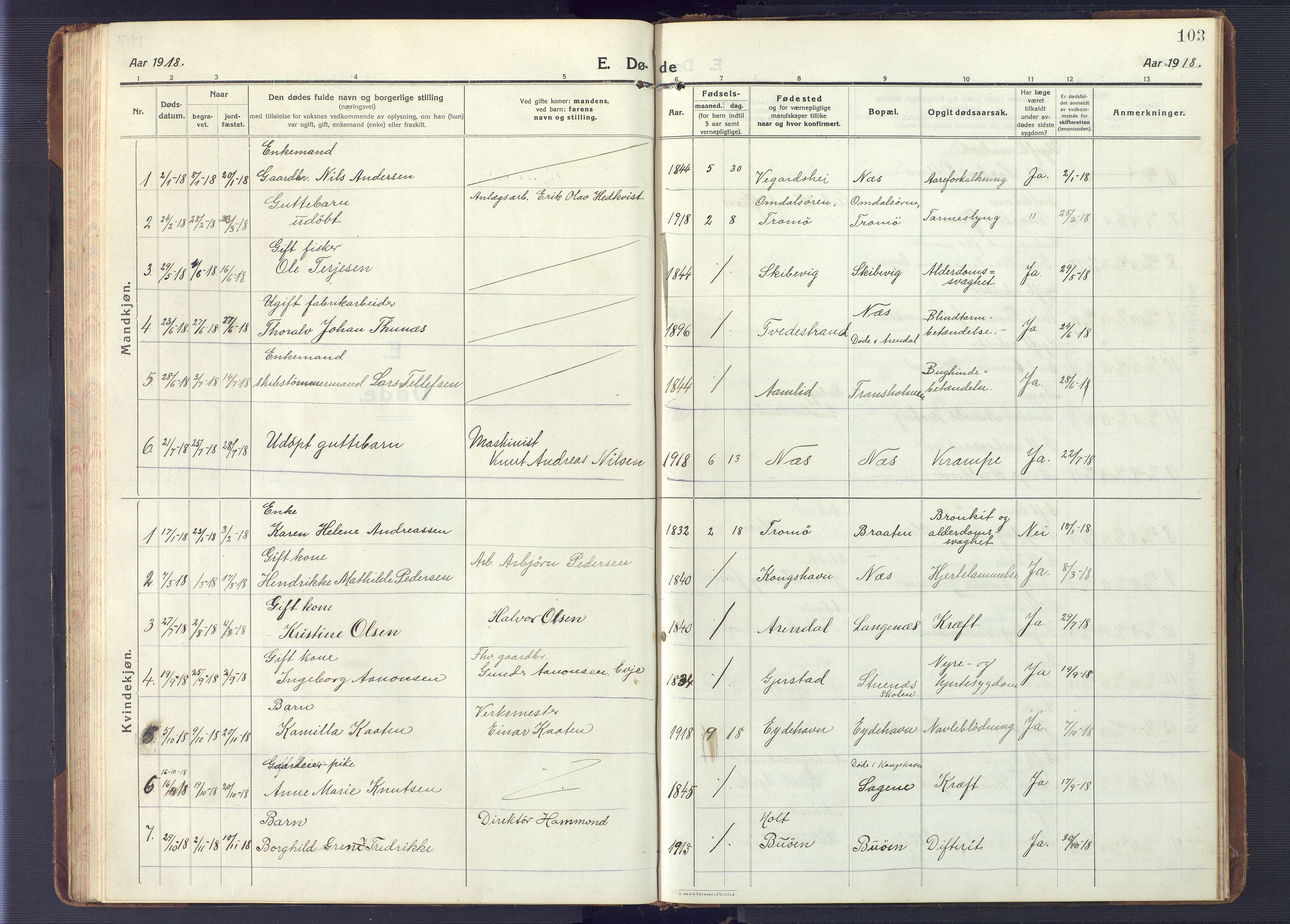 Austre Moland sokneprestkontor, AV/SAK-1111-0001/F/Fb/Fbb/L0004: Parish register (copy) no. B 4, 1914-1929, p. 103