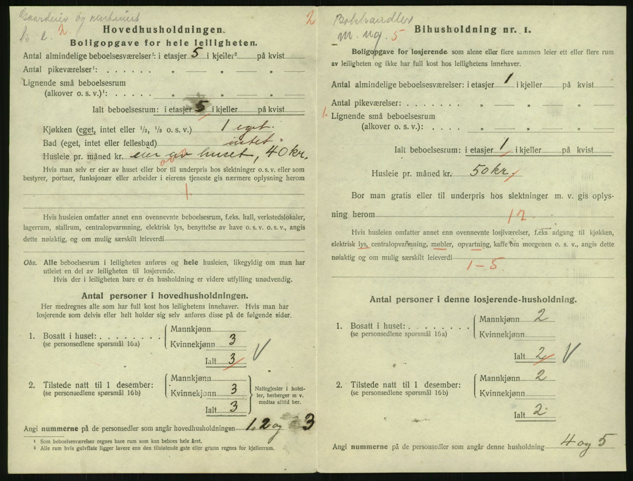 SAH, 1920 census for Gjøvik, 1920, p. 1529