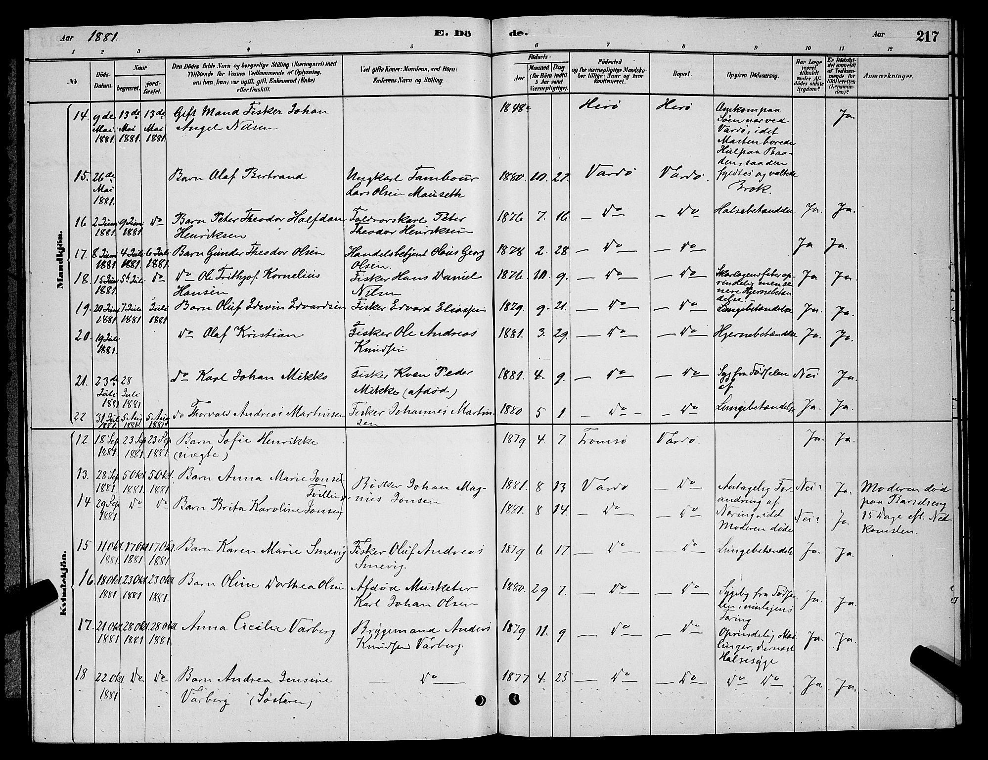 Vardø sokneprestkontor, AV/SATØ-S-1332/H/Hb/L0004klokker: Parish register (copy) no. 4, 1879-1887, p. 217