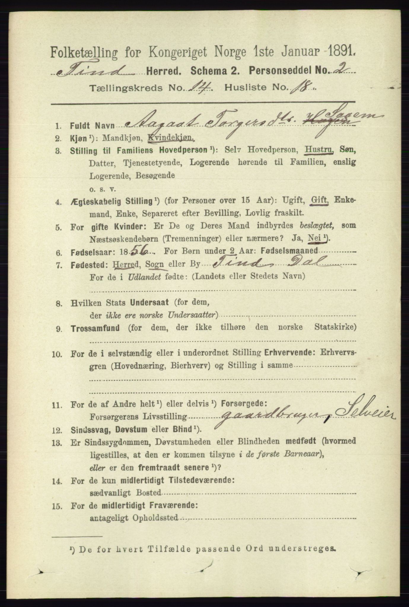RA, 1891 census for 0826 Tinn, 1891, p. 2953