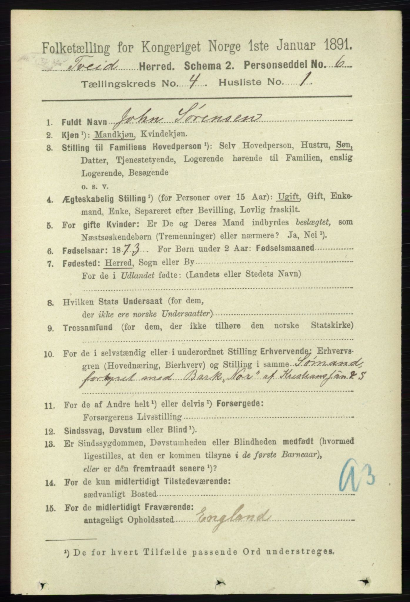 RA, 1891 census for 1013 Tveit, 1891, p. 1811