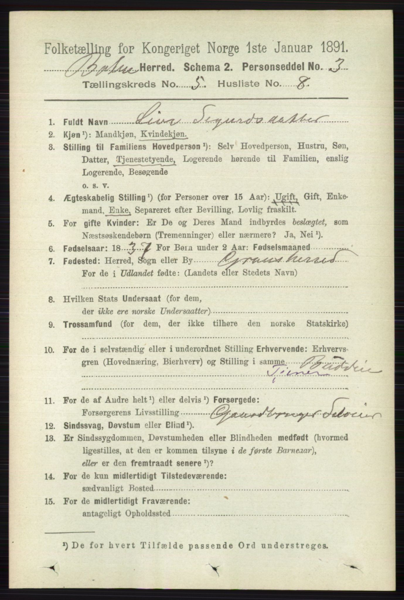 RA, 1891 census for 0715 Botne, 1891, p. 1997