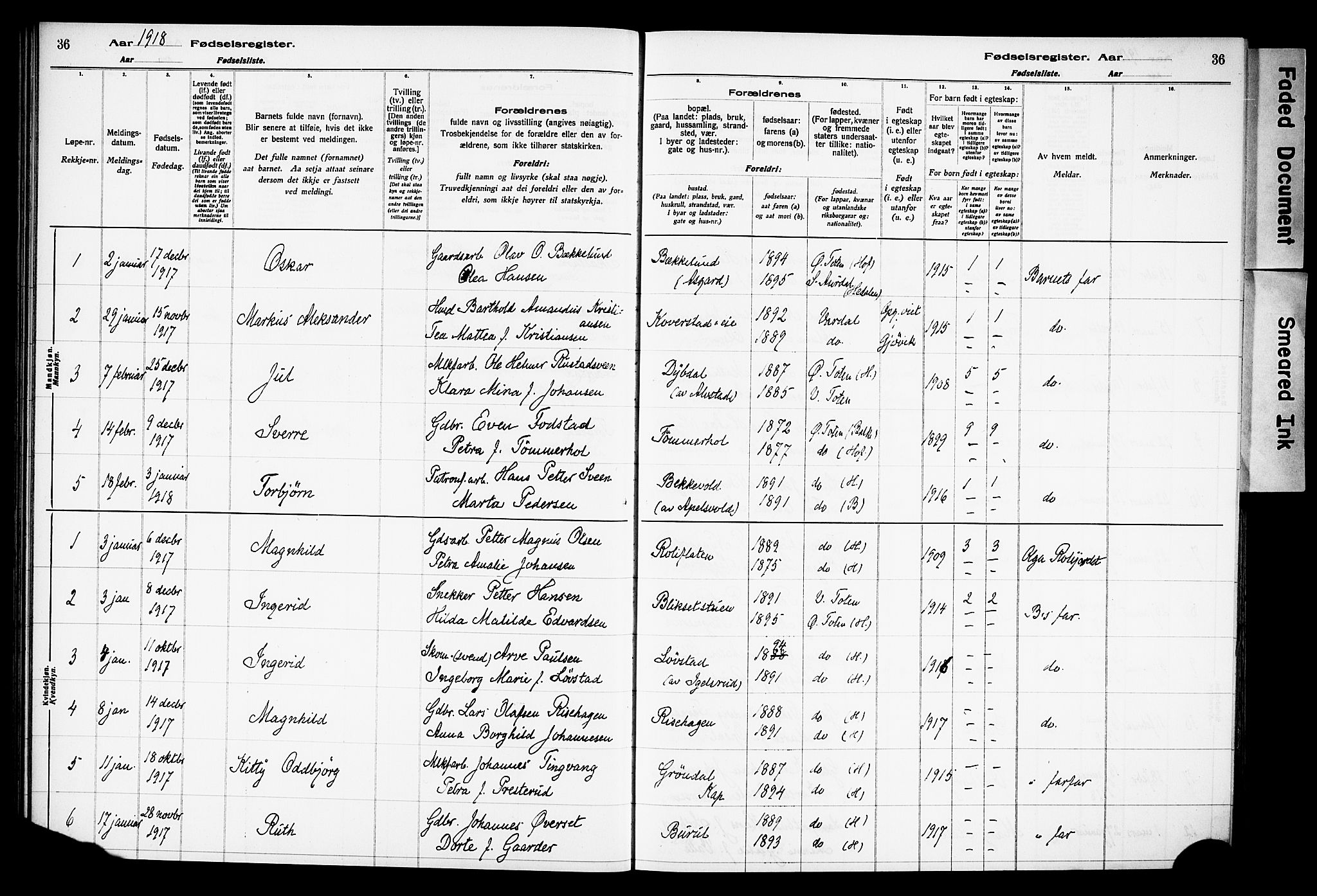 Østre Toten prestekontor, SAH/PREST-104/I/Id/L0001/0001: Birth register no. 1.1, 1916-1928, p. 36