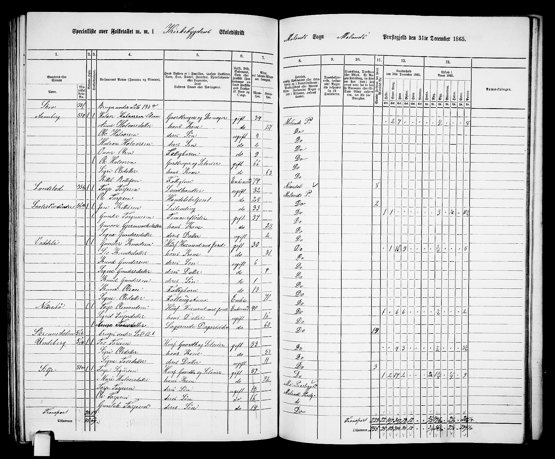 RA, 1865 census for Moland, 1865, p. 55