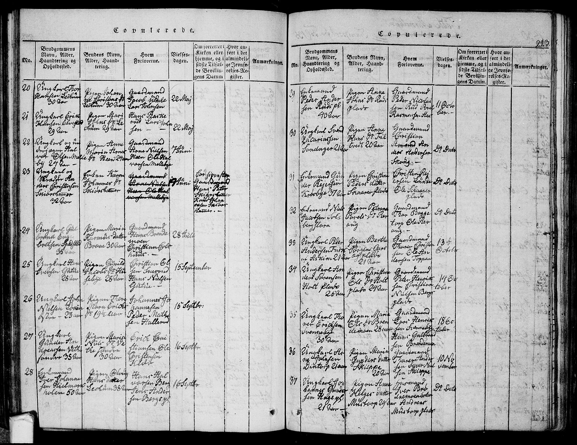 Eidsberg prestekontor Kirkebøker, SAO/A-10905/G/Ga/L0001: Parish register (copy) no. I 1, 1814-1831, p. 223
