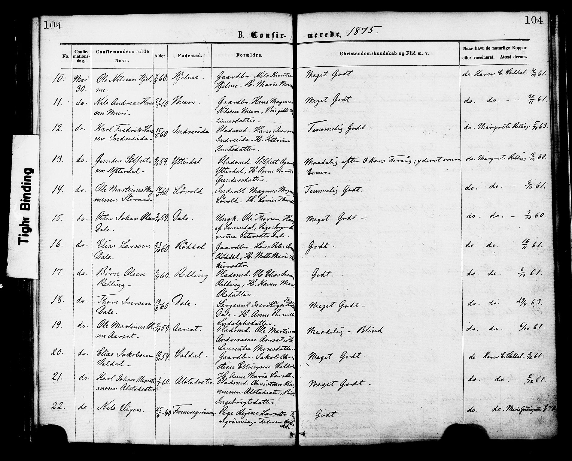 Ministerialprotokoller, klokkerbøker og fødselsregistre - Møre og Romsdal, AV/SAT-A-1454/519/L0254: Parish register (official) no. 519A13, 1868-1883, p. 104