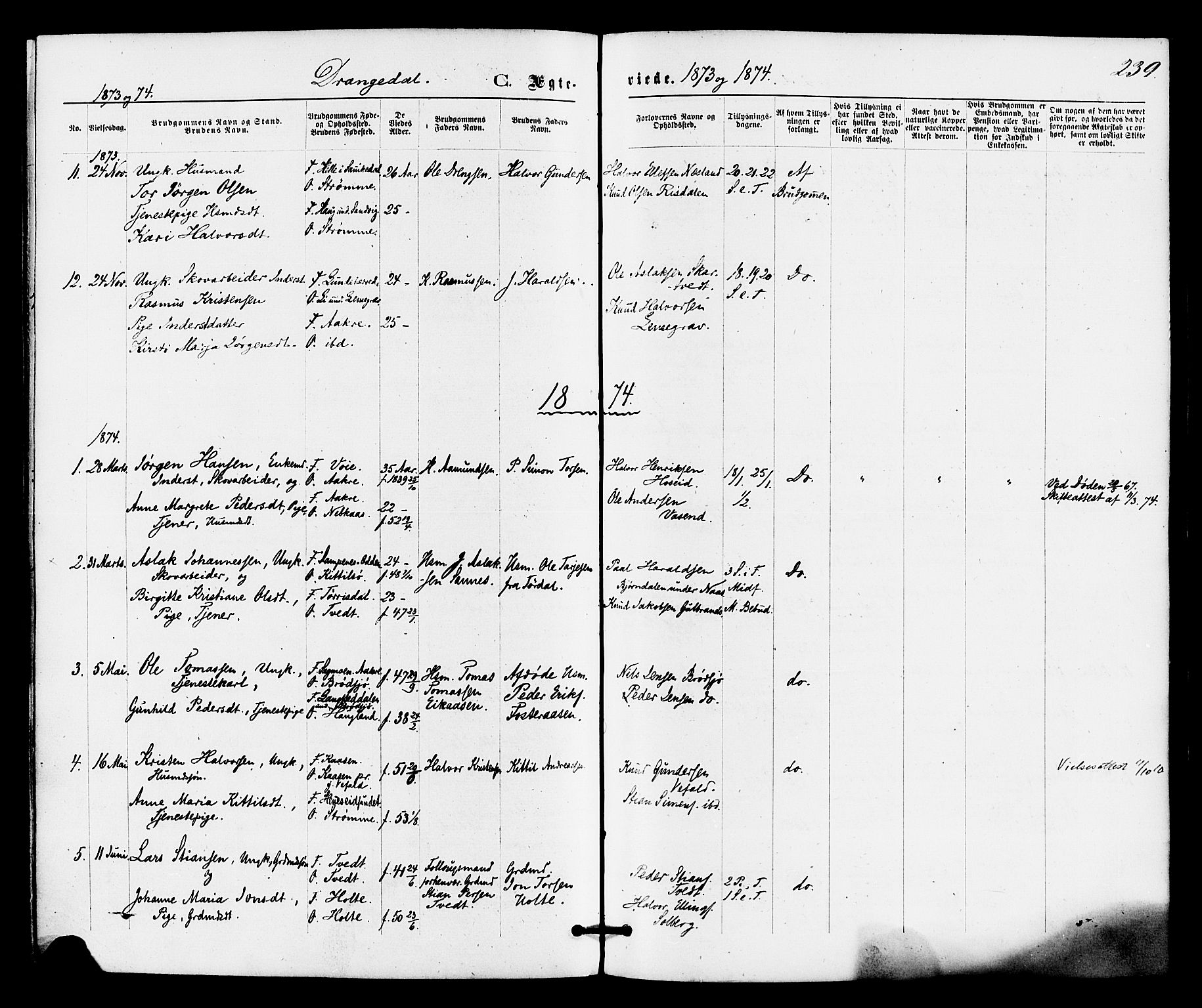 Drangedal kirkebøker, SAKO/A-258/F/Fa/L0009: Parish register (official) no. 9 /1, 1872-1884, p. 239