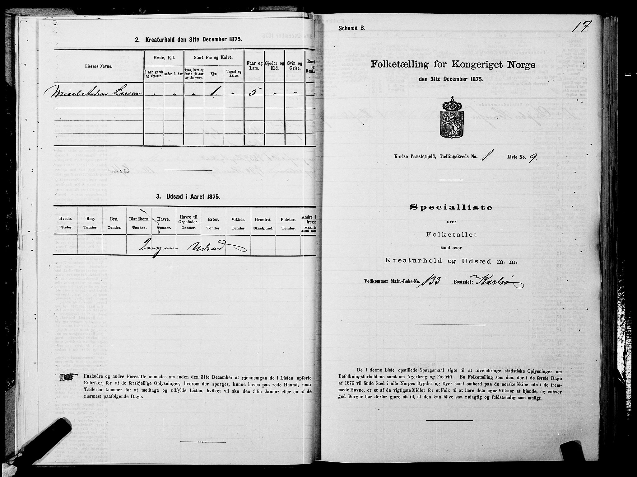 SATØ, 1875 census for 1936P Karlsøy, 1875, p. 1017