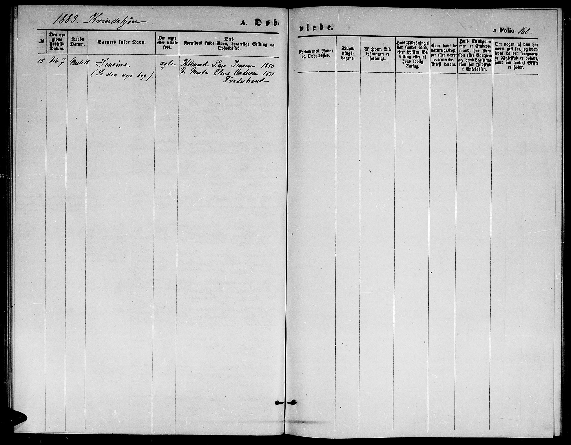 Holt sokneprestkontor, SAK/1111-0021/F/Fb/L0009: Parish register (copy) no. B 9, 1871-1883, p. 160
