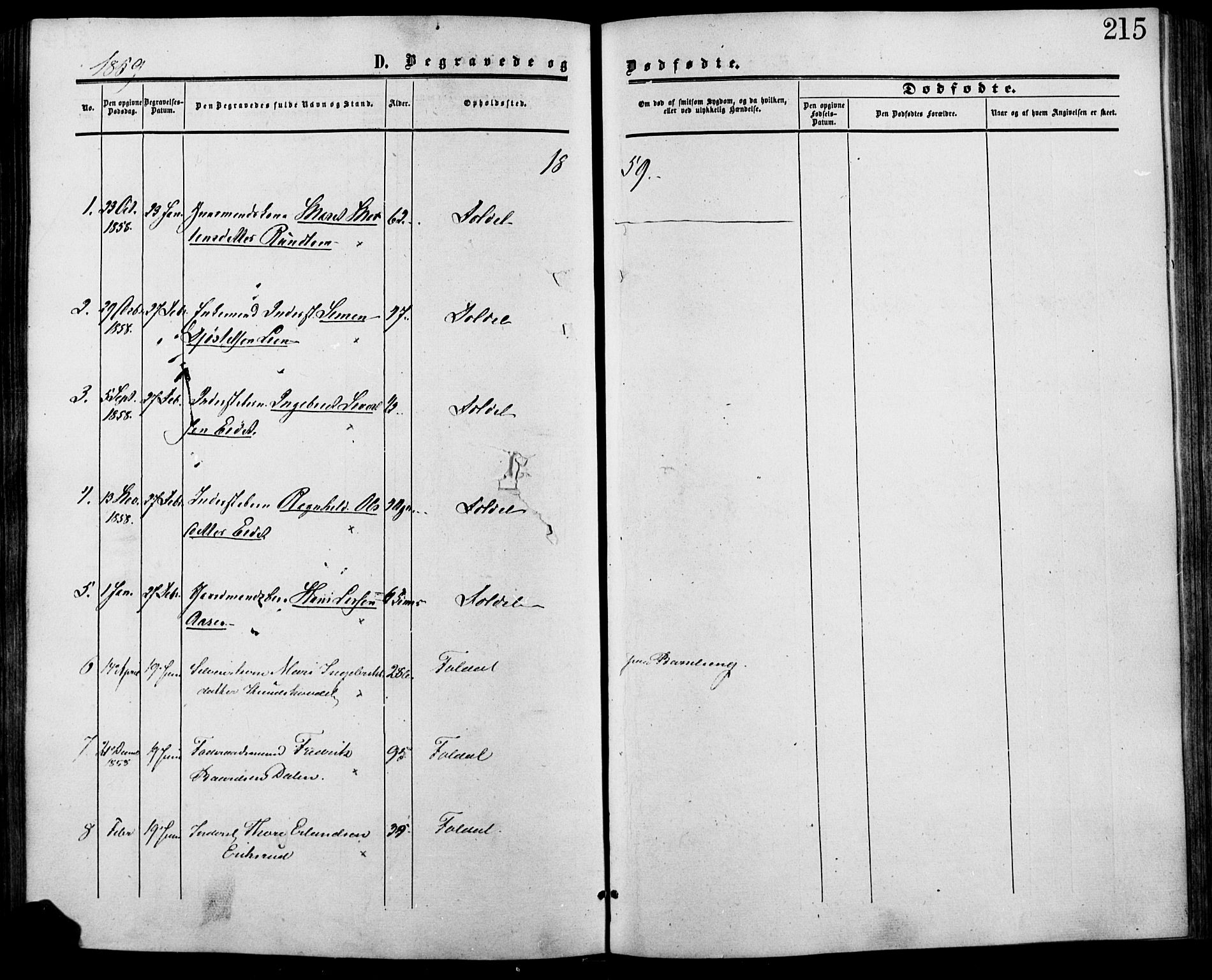 Lesja prestekontor, SAH/PREST-068/H/Ha/Haa/L0007: Parish register (official) no. 7, 1854-1862, p. 215