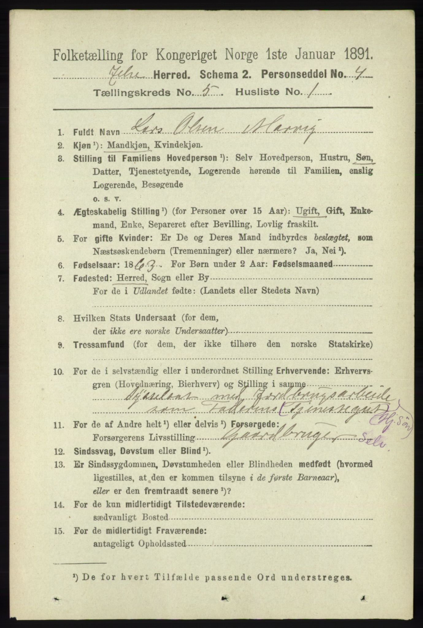 RA, 1891 census for 1138 Jelsa, 1891, p. 1066