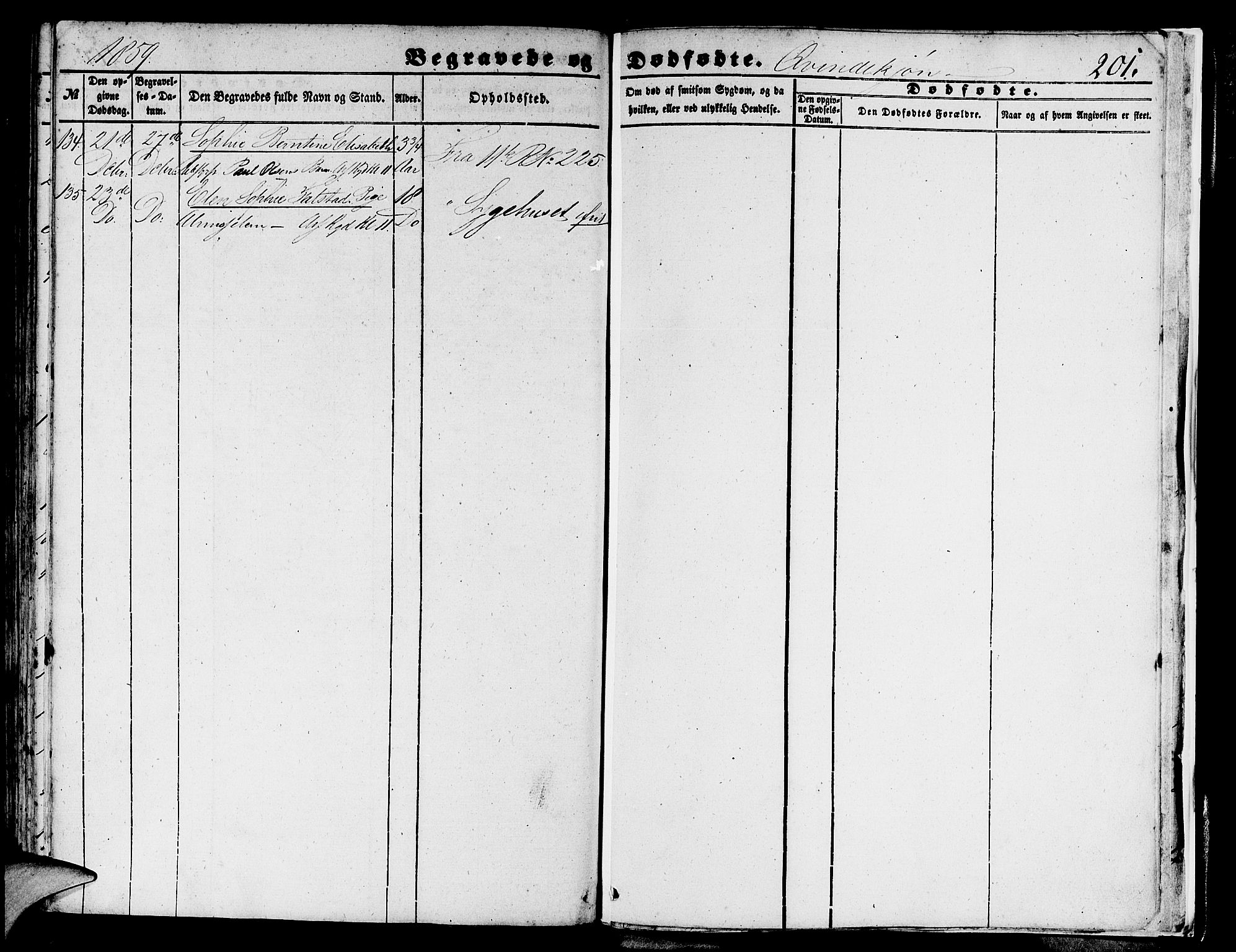 Domkirken sokneprestembete, SAB/A-74801/H/Hab/L0038: Parish register (copy) no. E 2, 1847-1859, p. 201