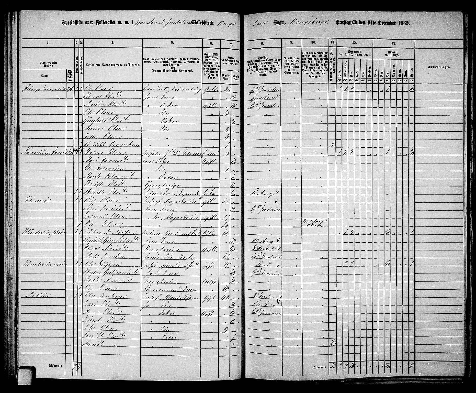 RA, 1865 census for Gransherad, 1865, p. 62